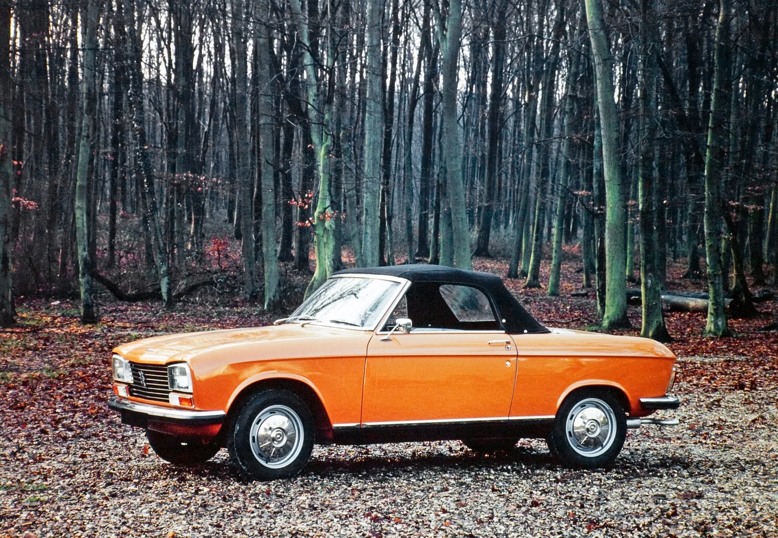 Peugeot_304_1_generation__Cabrio__5.jpg