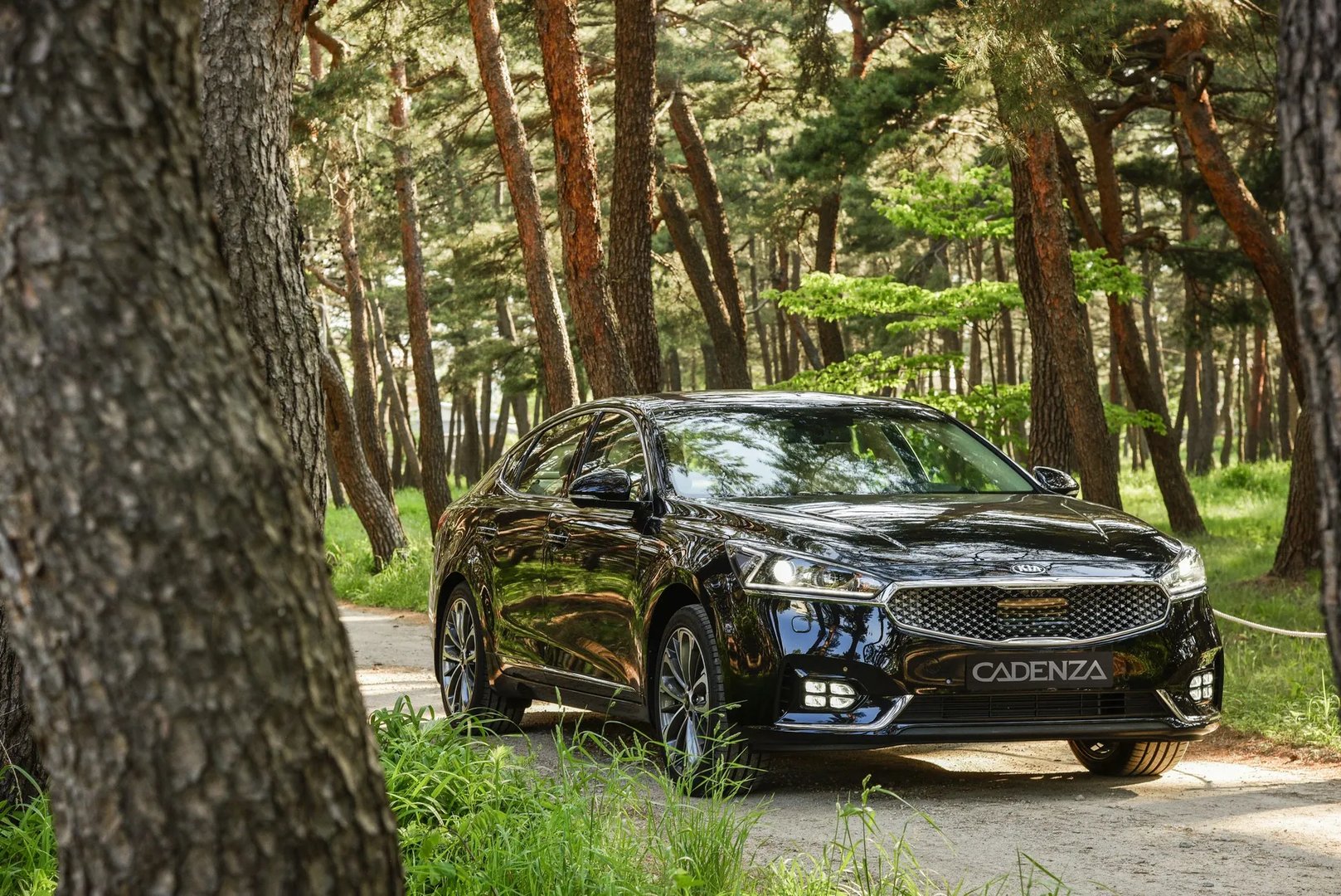 Kia_Cadenza_2_generation__Sedan__9.jpg