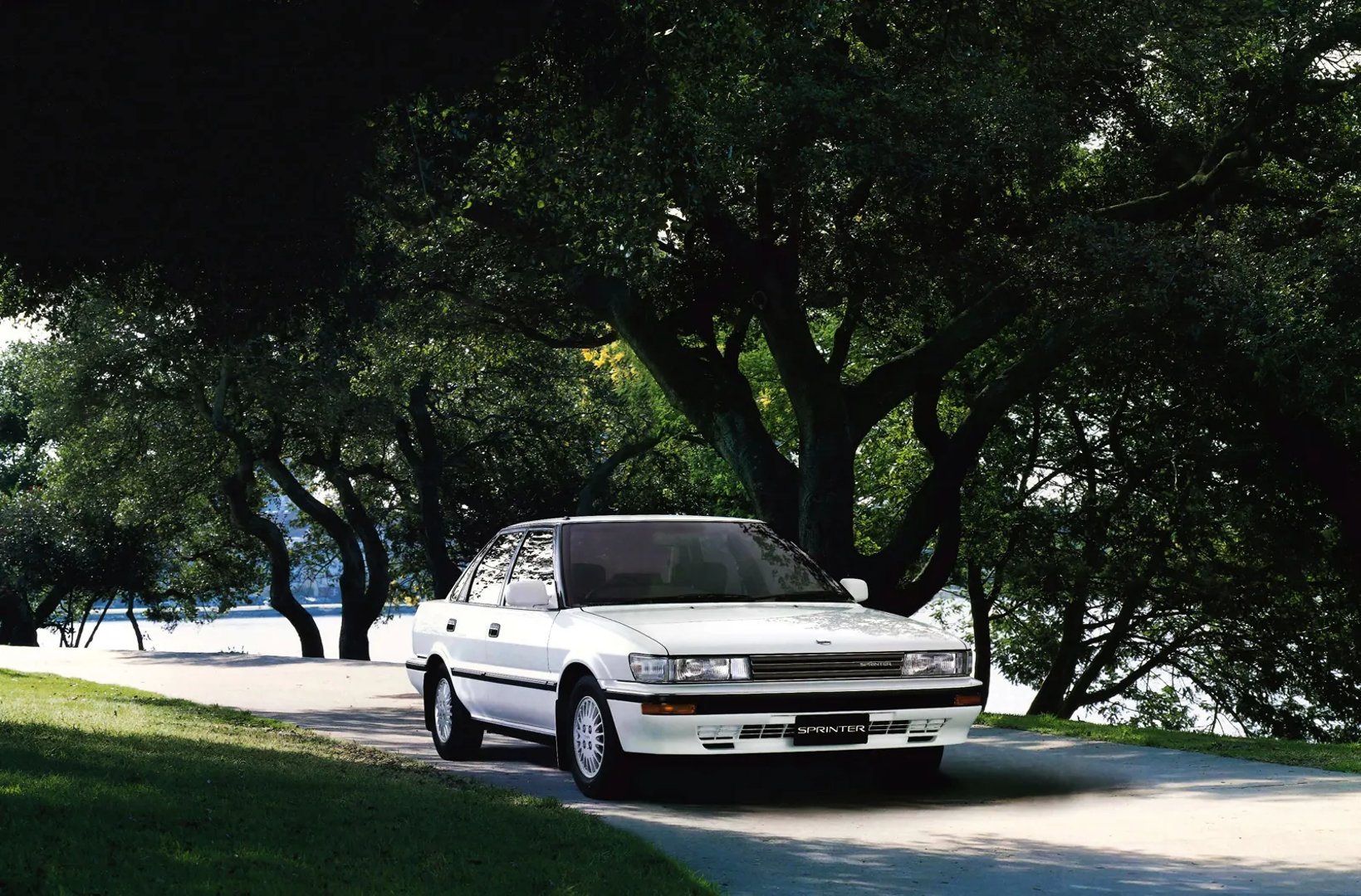 Toyota_Sprinter_6_generation__Sedan__1.jpg