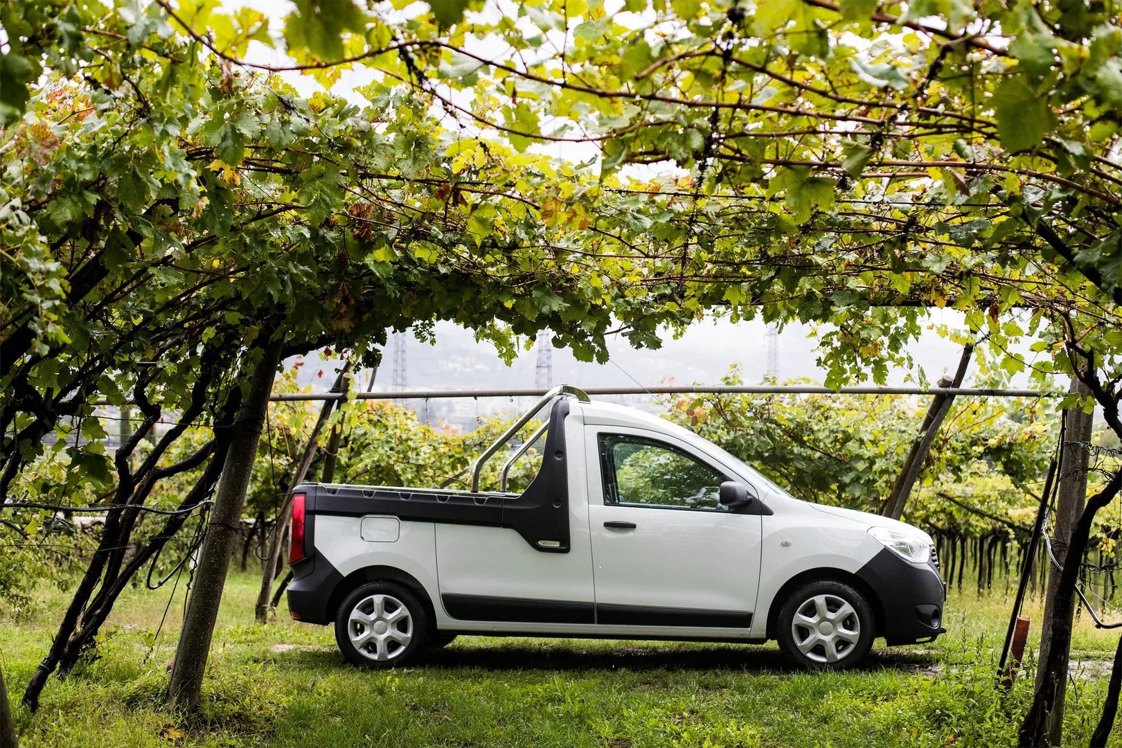 Dacia_Dokker_1_generation_restyling__Pickup__7.jpg