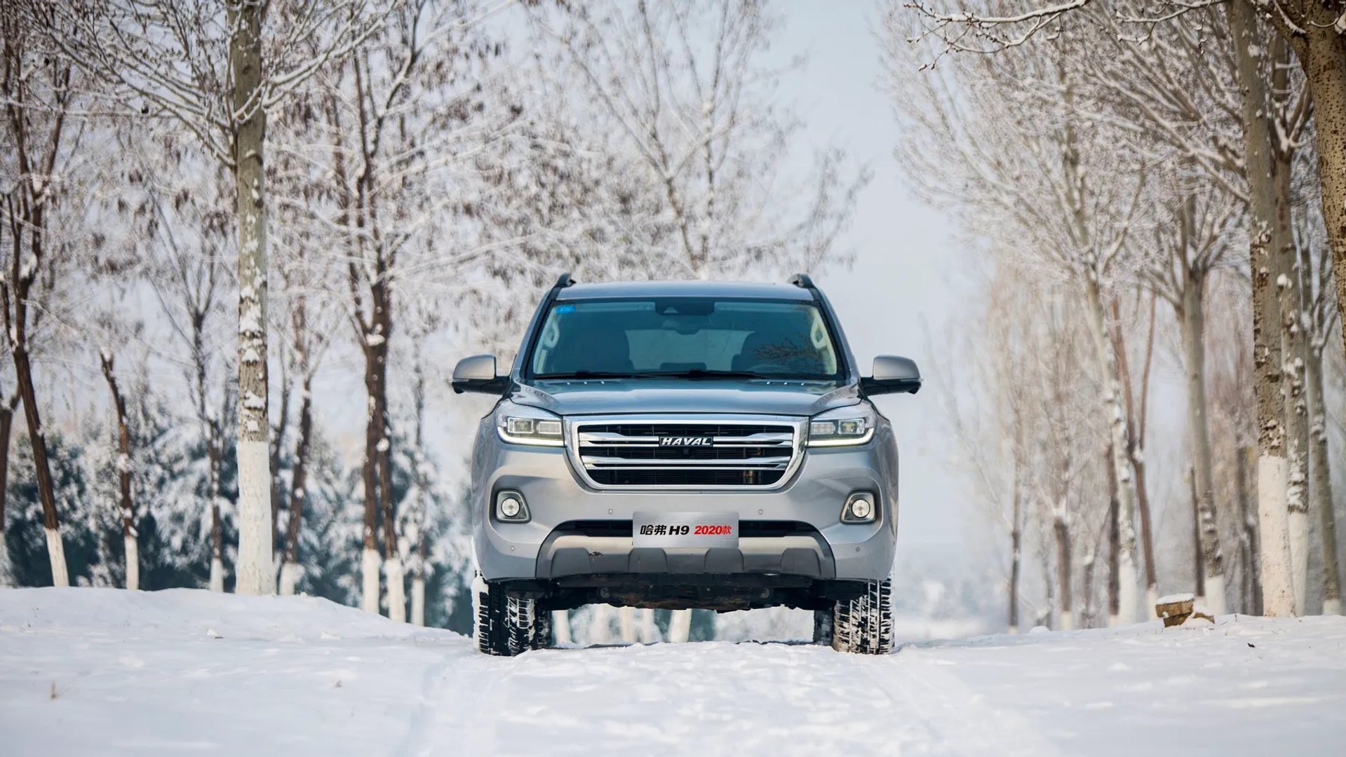 Haval_H9_1_generation_restyling__SUV_5-doors__10.jpg