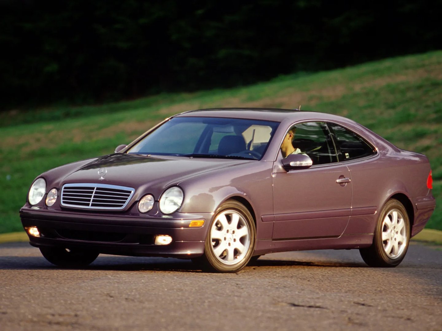 C208  Coupe
