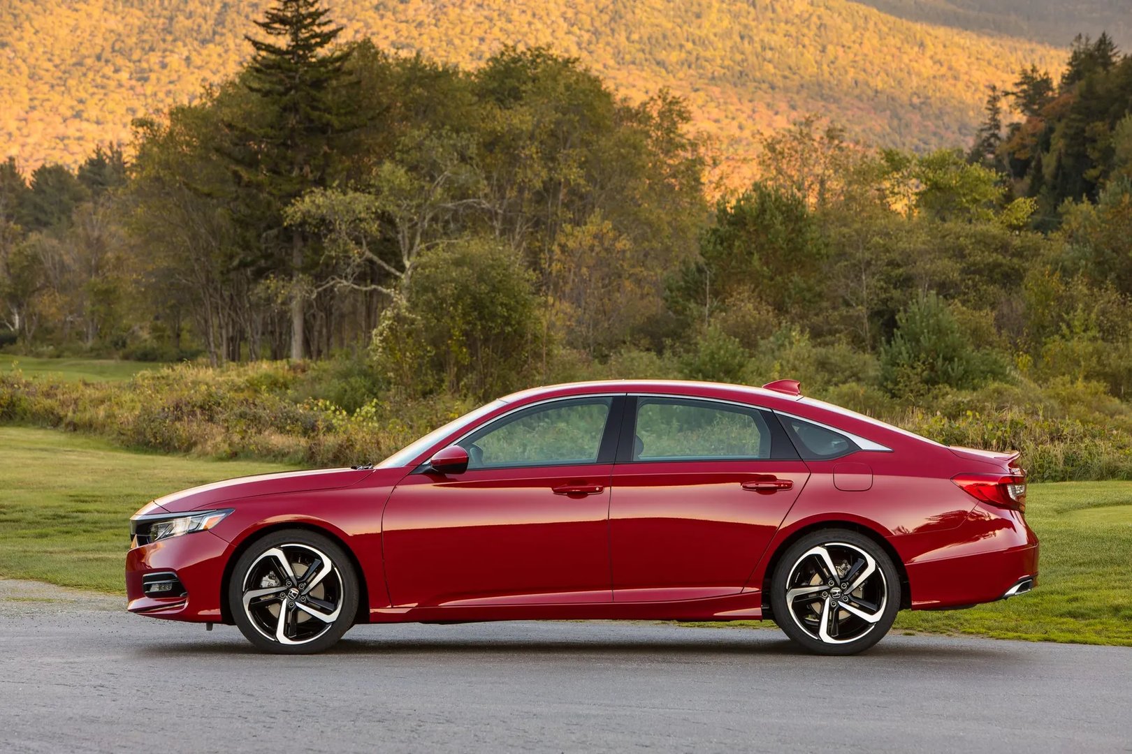 Honda_Accord_(USA)_10_generation__Sedan__5.jpg
