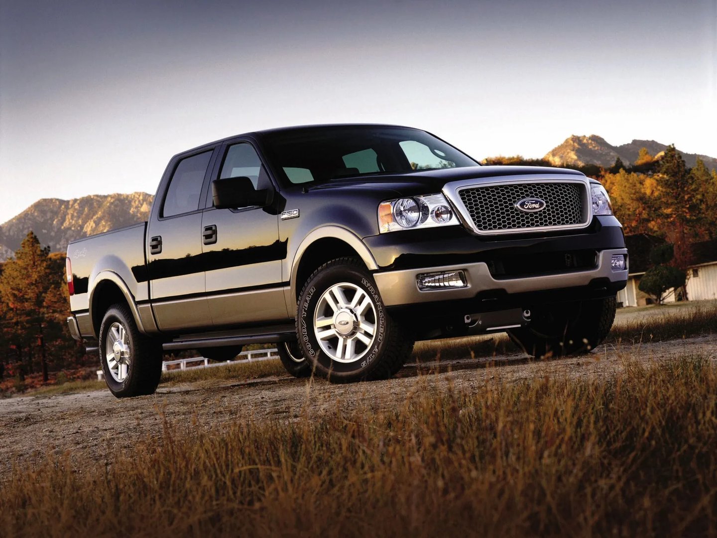 Ford_F-150_11_generation__Pickup_double-cab__5.jpg