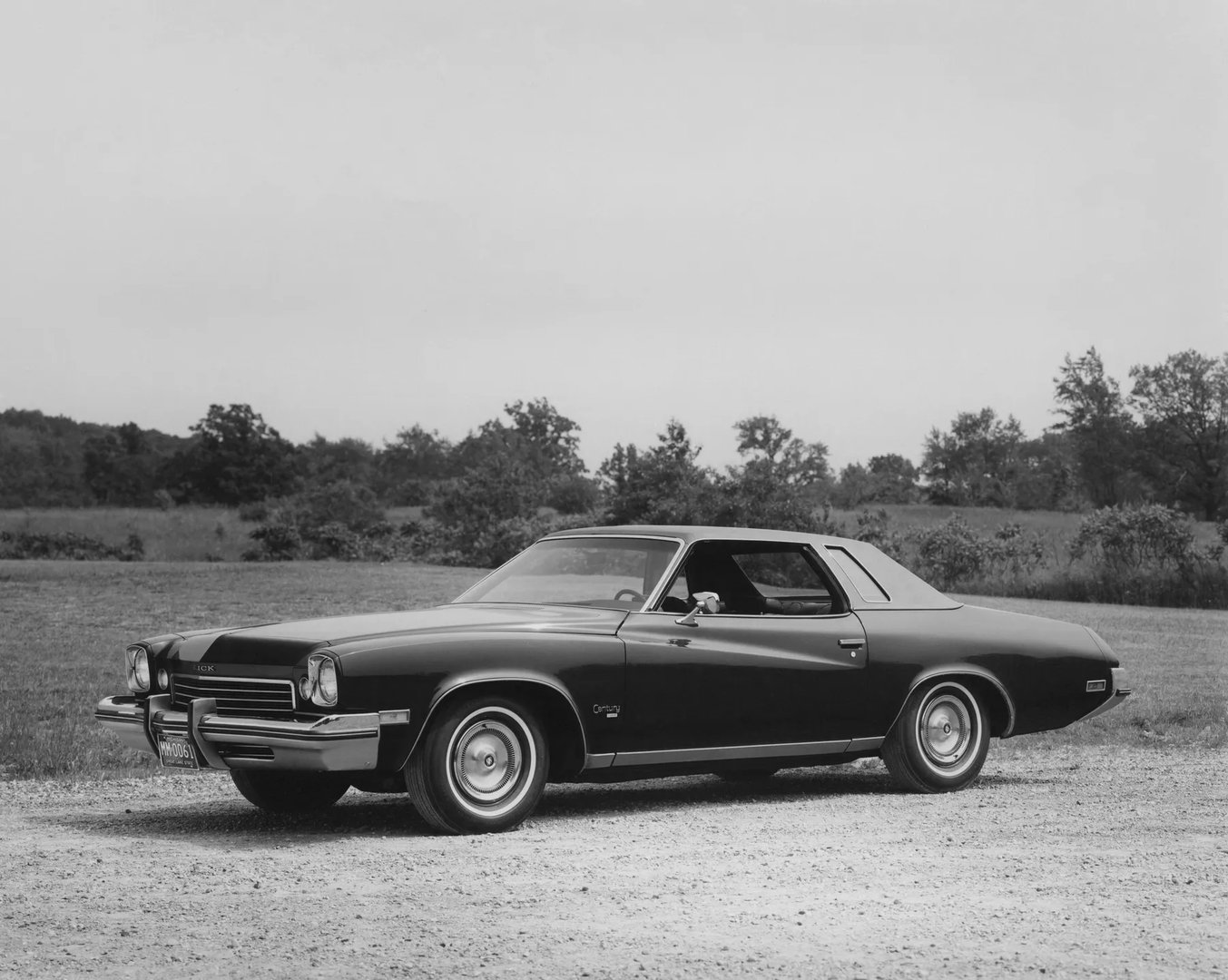 Buick_Century_3_generation__Coupe__1.jpg