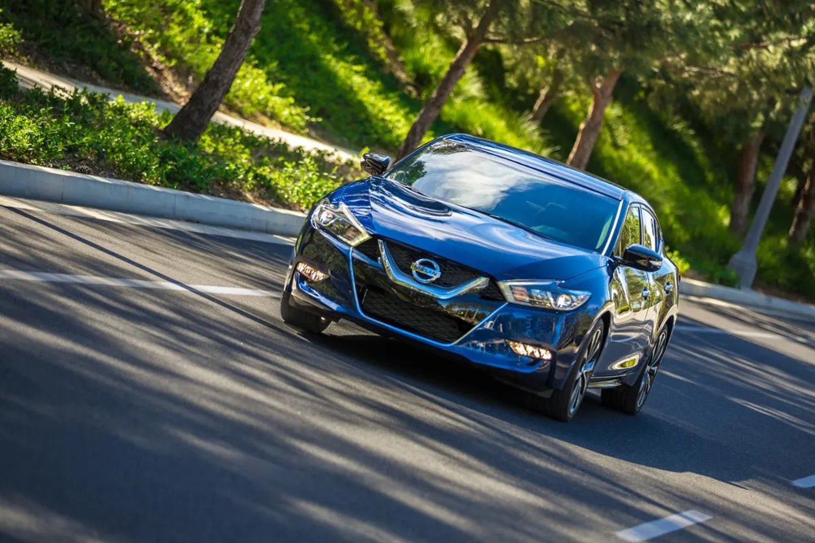 Nissan_Maxima_8_generation__Sedan__1.jpg