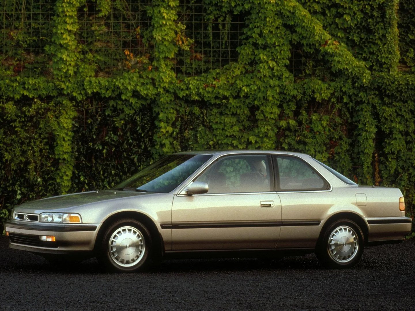 Honda_Accord_(USA)_4_generation__Coupe__1.jpg