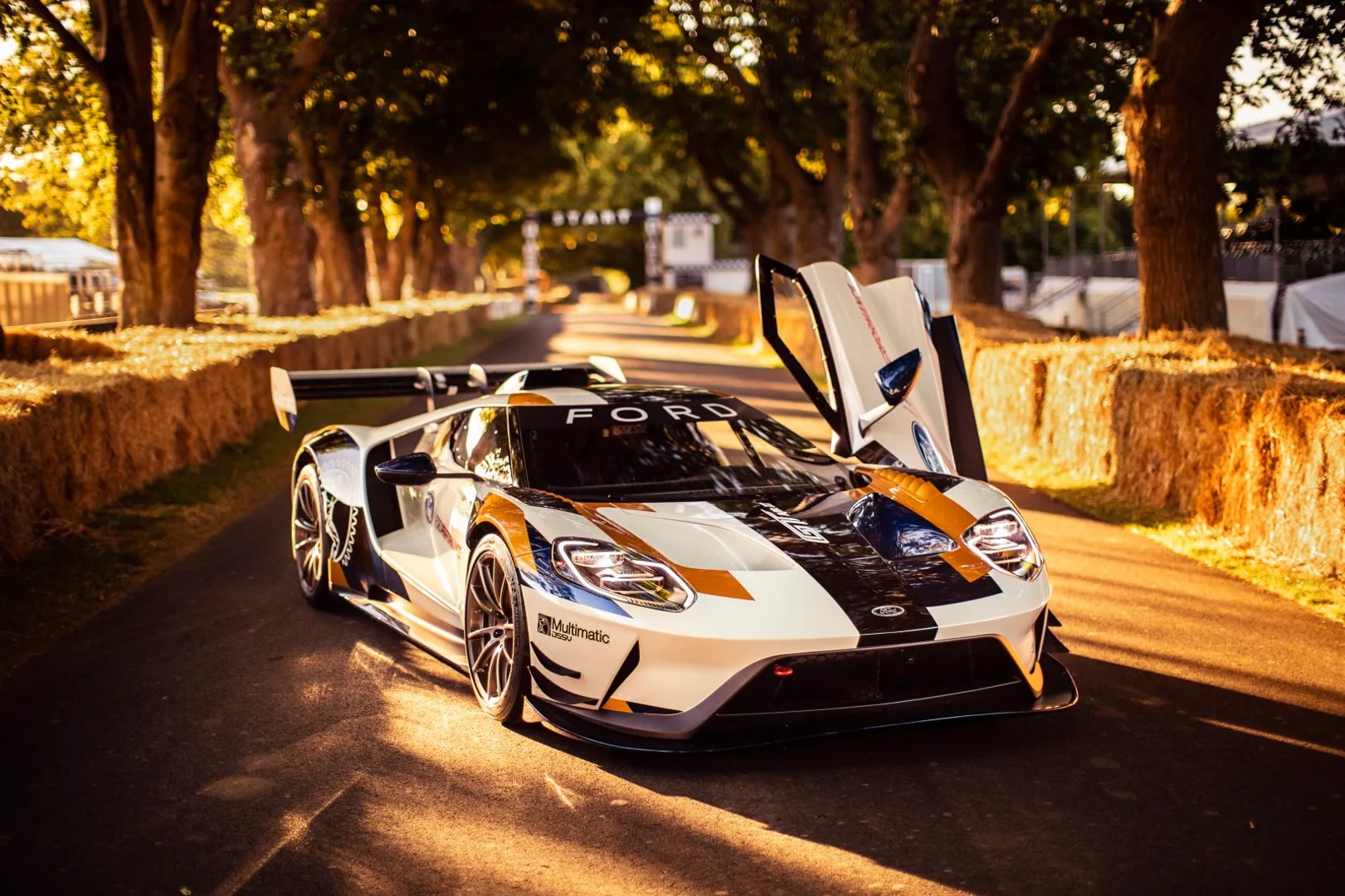 Ford_GT_2_generation__Coupe__2.jpg