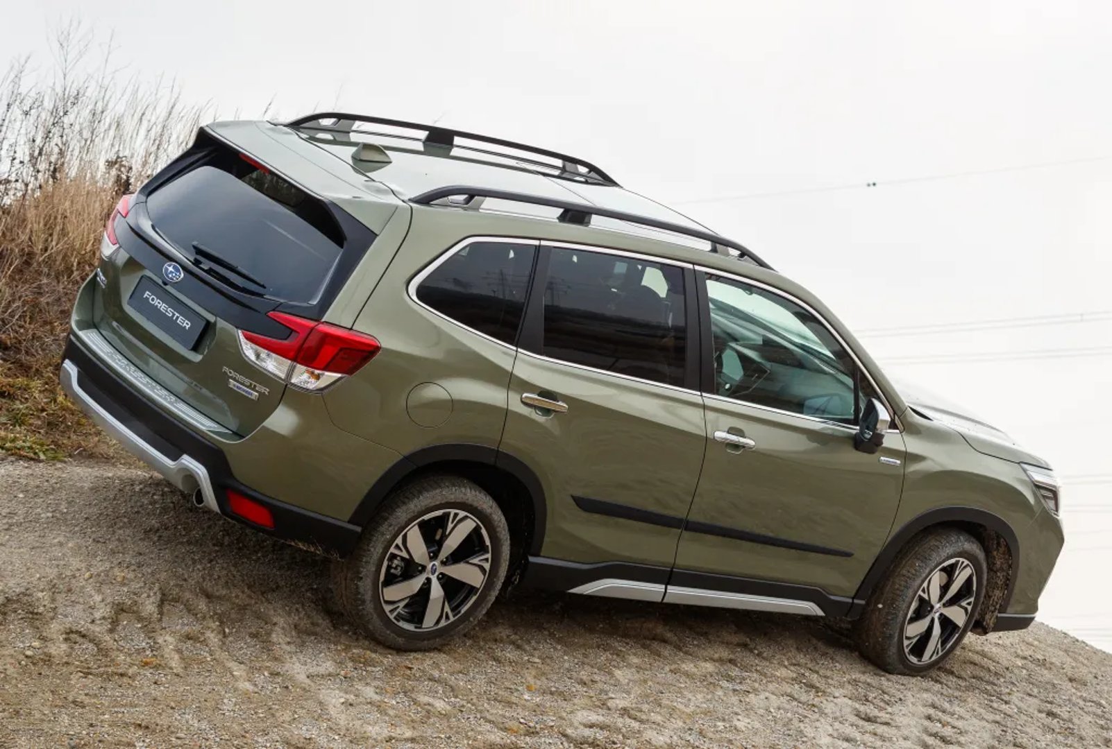 Subaru_Forester_5_generation__SUV_5-doors__4.jpg