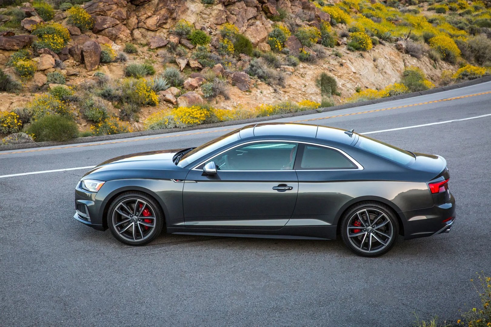 Audi_S5_2_generation__Coupe__10.jpg