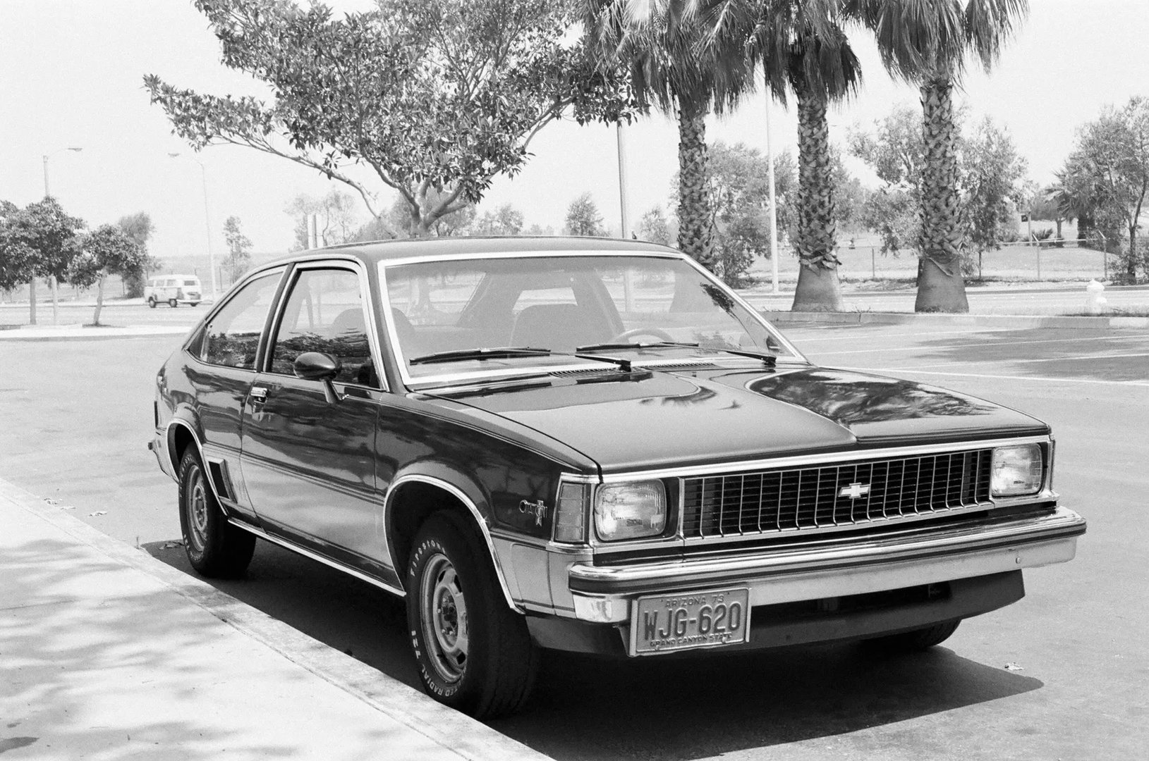 Chevrolet_Citation_1_generation__Hatchback_3-door__3.jpg