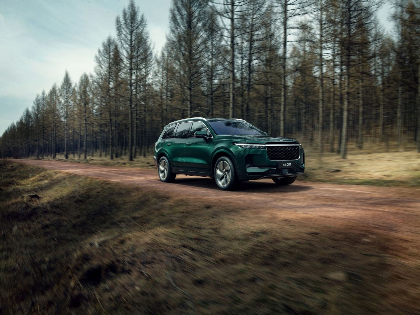 li-auto_One_1_generation_restyling__SUV_5-doors__5.jpg