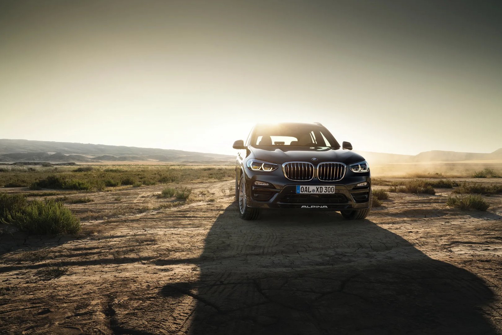 Alpina_XD3_2_generation__SUV_5-doors__4.jpg