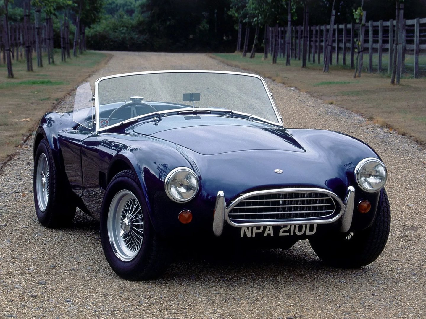 AC_Cobra_2_generation__Roadster__5.jpg