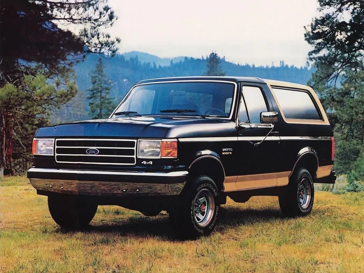 Ford_Bronco_4_generation__SUV_3-doors__3.jpg