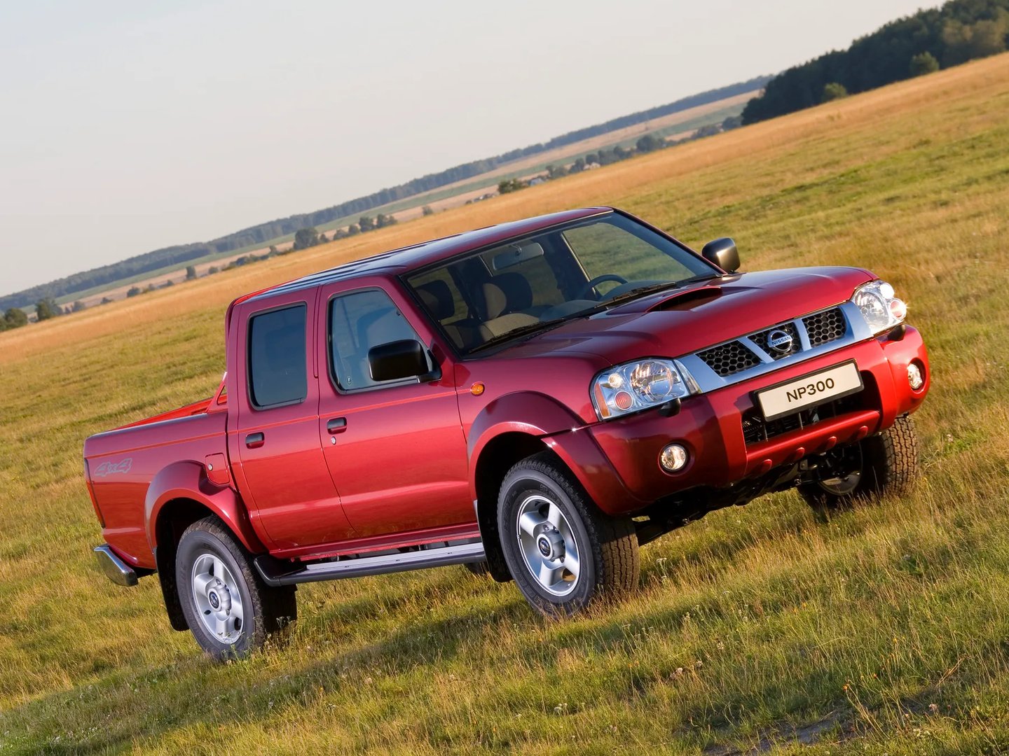 Nissan_NP300_1_generation__Pickup_double-cab__13.jpg