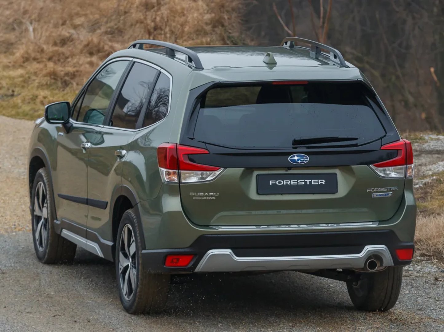 Subaru_Forester_5_generation__SUV_5-doors__6.jpg