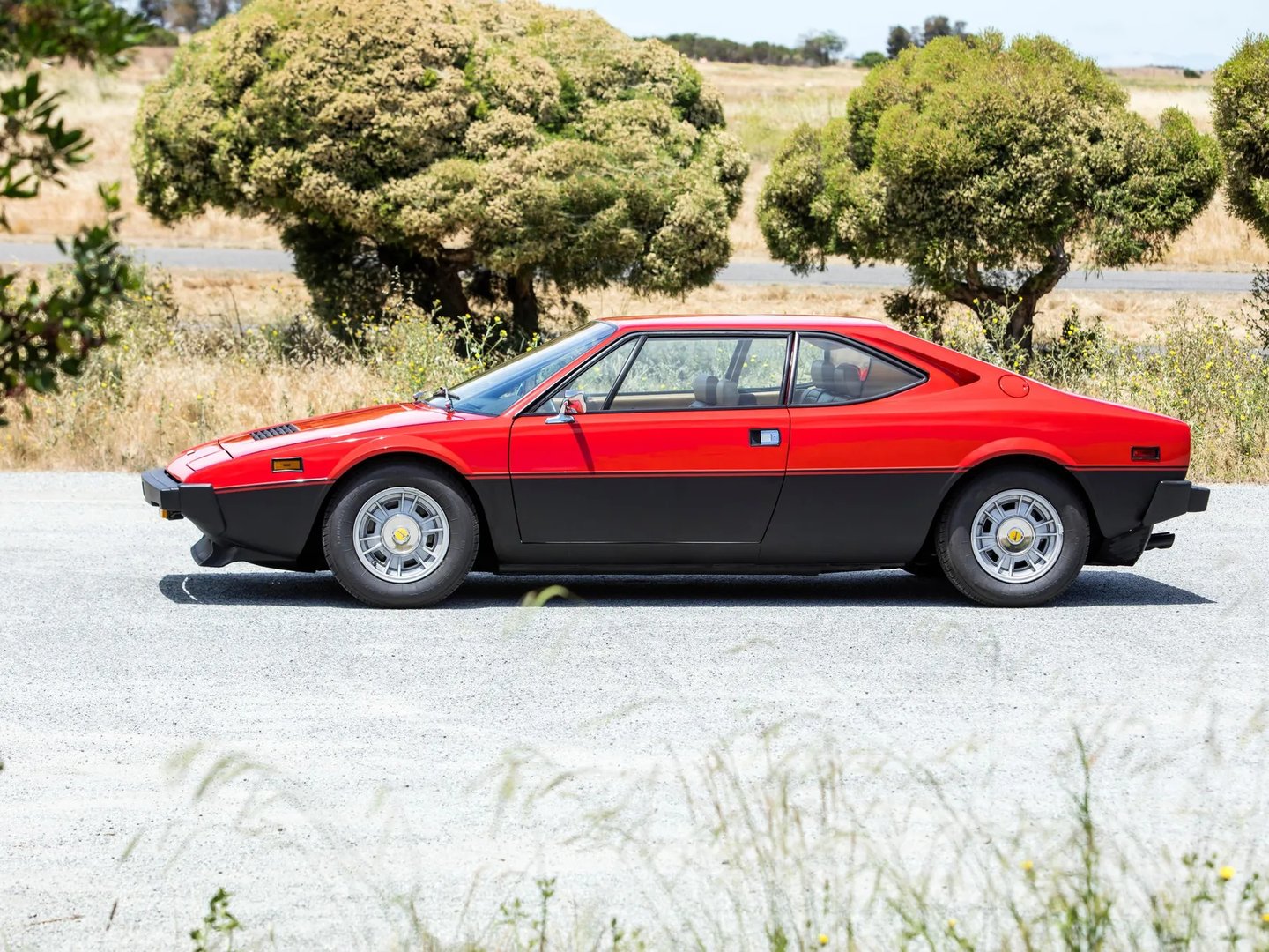Ferrari_Dino_208_308_GT4_1_generation__Coupe__6.jpg