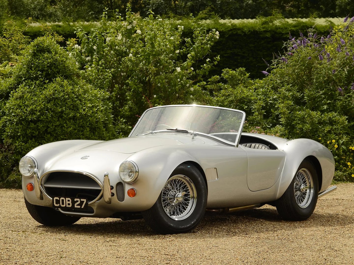 AC Cobra 3 generation