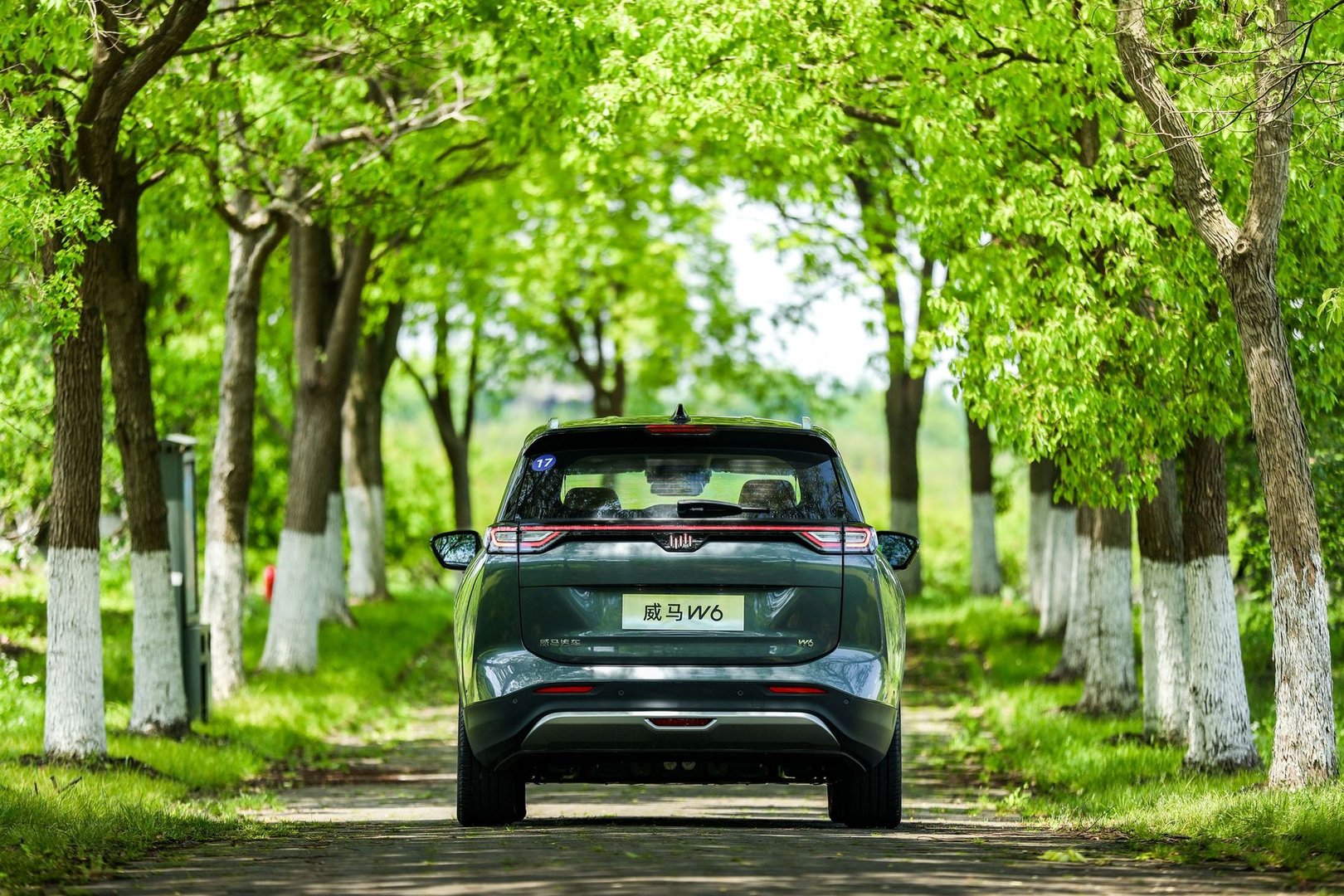 wm-motors_Weltmeister_W6_1_generation__SUV_5-doors__28.jpg