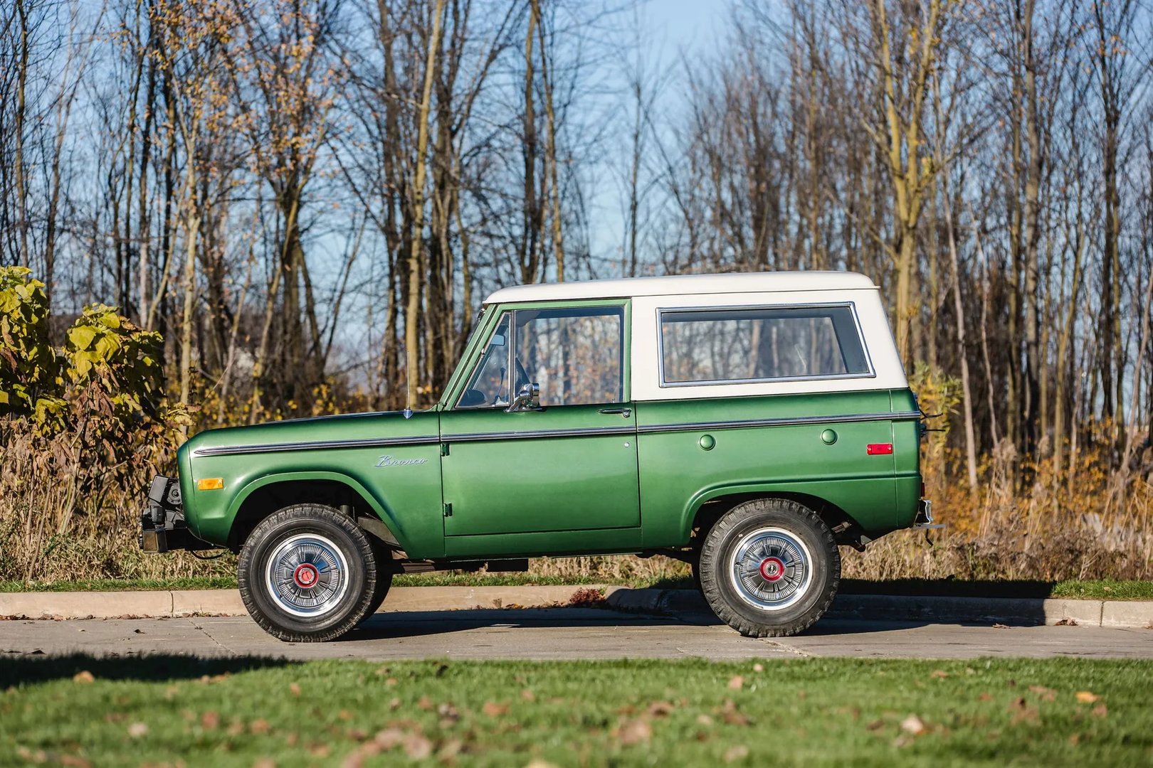 Ford_Bronco_1_generation__SUV_3-doors__6.jpg