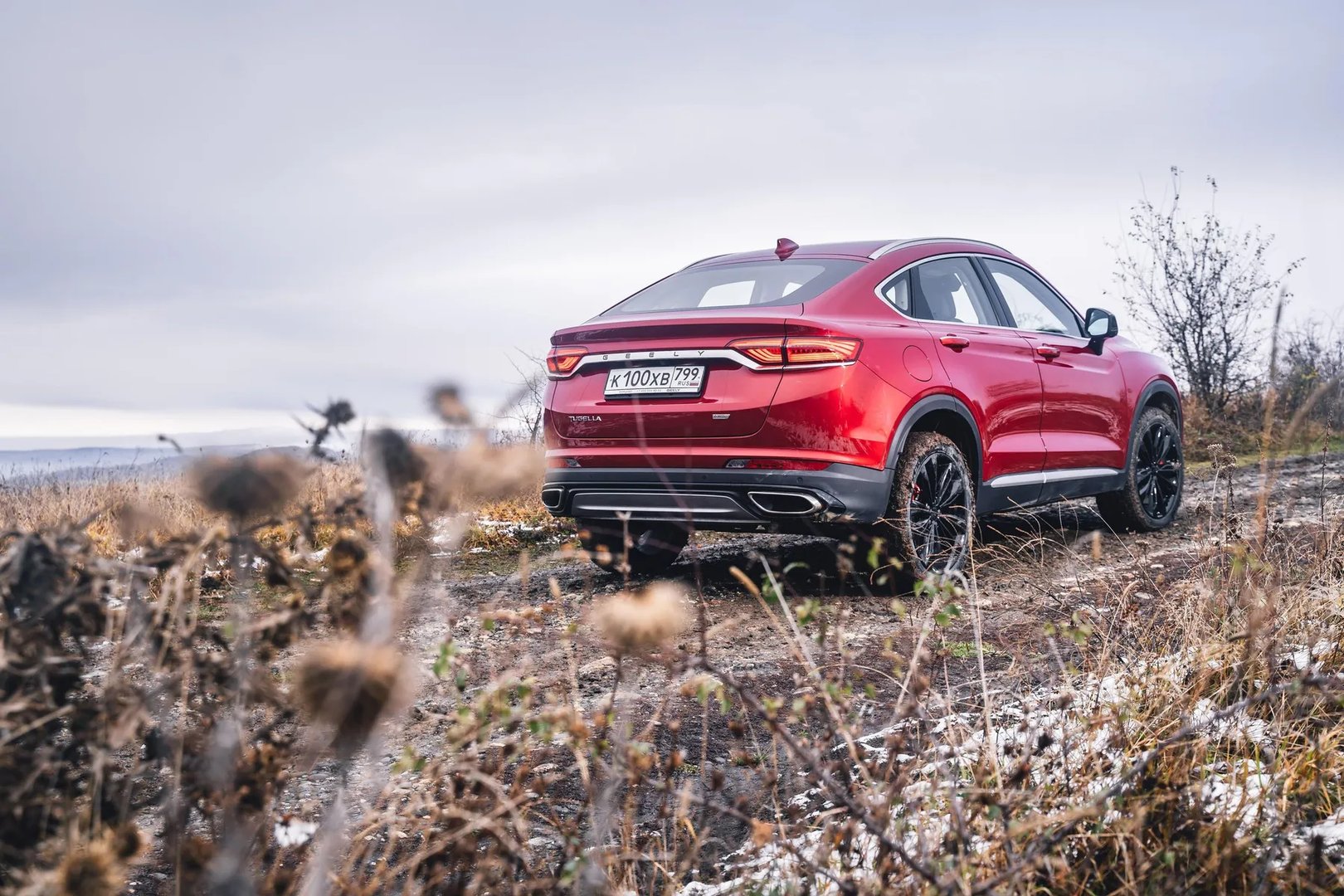 Geely_Tugella_1_generation__SUV_Coupe__9.jpg