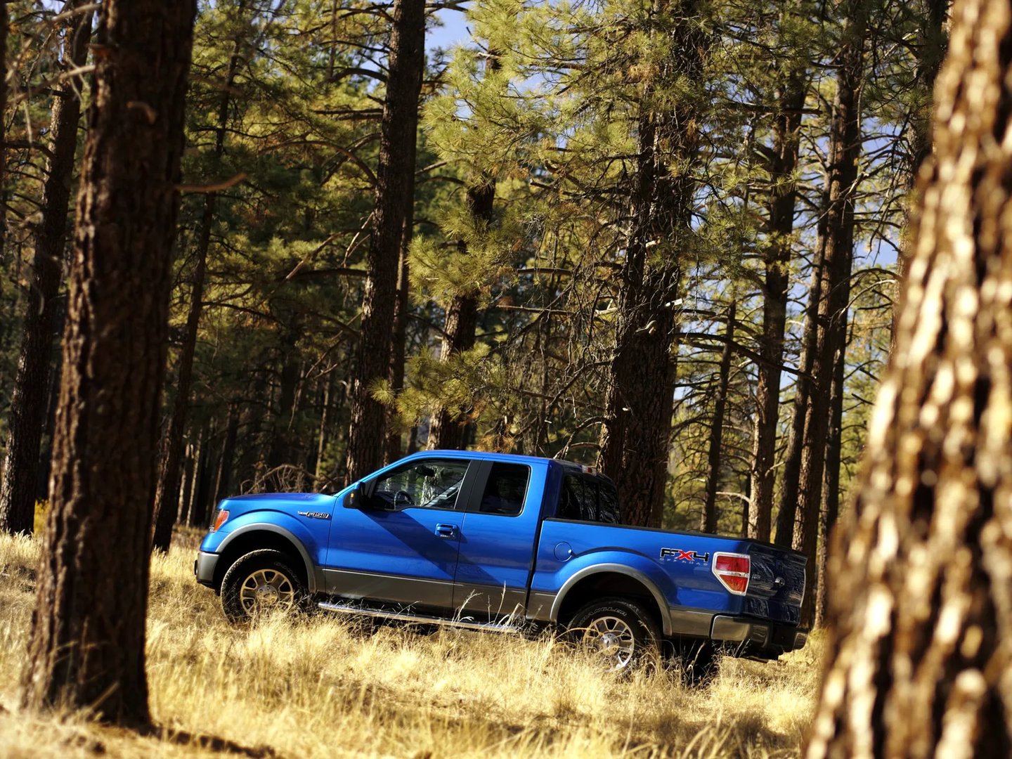 Ford_F-150_12_generation__Pickup_1.5-cab__2.jpg