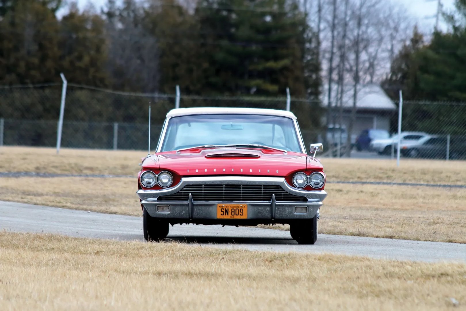 Ford_Thunderbird_4_generation__Cabrio__11.jpg