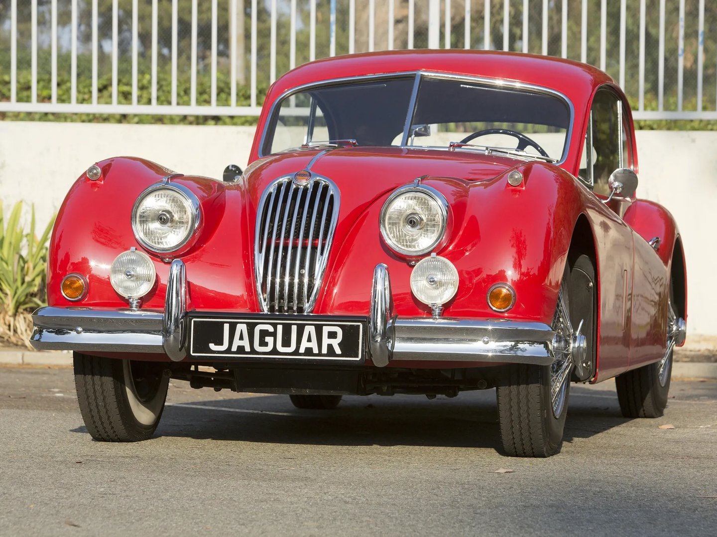 Jaguar XK Raritet 2 generation  Coupe