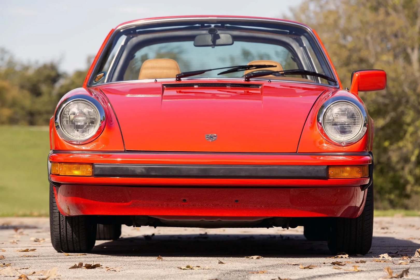 Porsche_911_2_generation__Targa__8.jpg