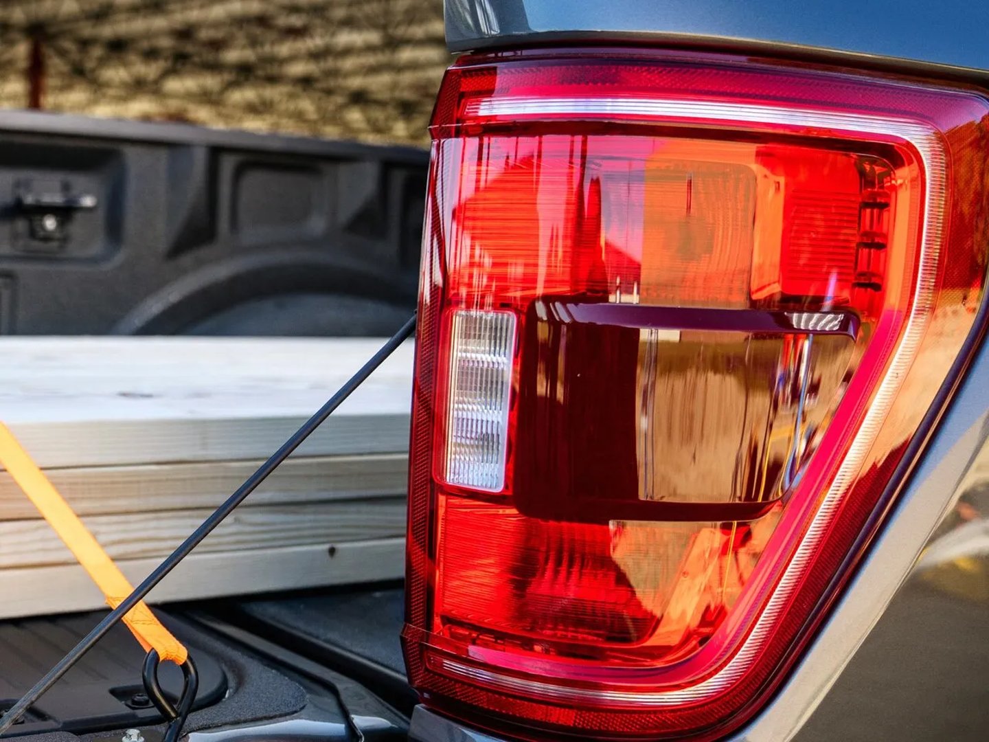 Ford_F-150_14_generation__Pickup_single-cab__3.jpg