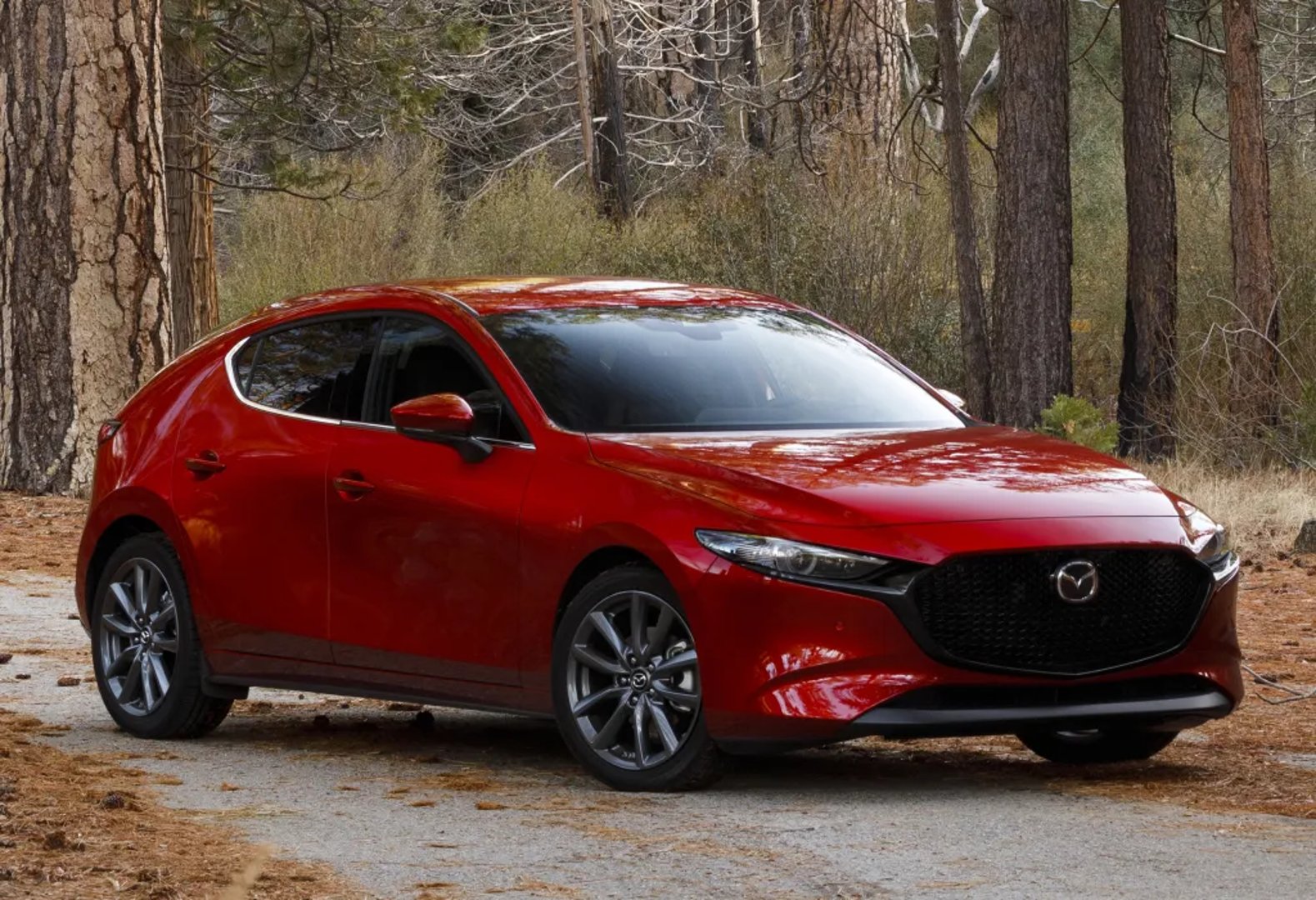Mazda_3_4_generation__Hatchback_5-door__2.jpg