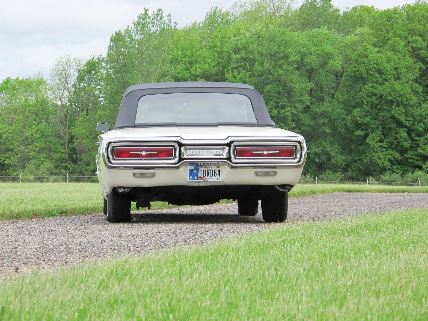 Ford_Thunderbird_4_generation__Cabrio__13.jpg