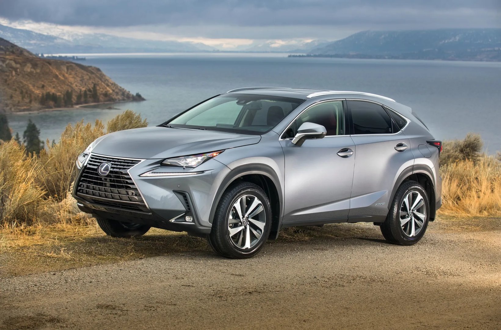 Lexus_NX_1_generation_restyling__SUV_5-doors__8.jpg