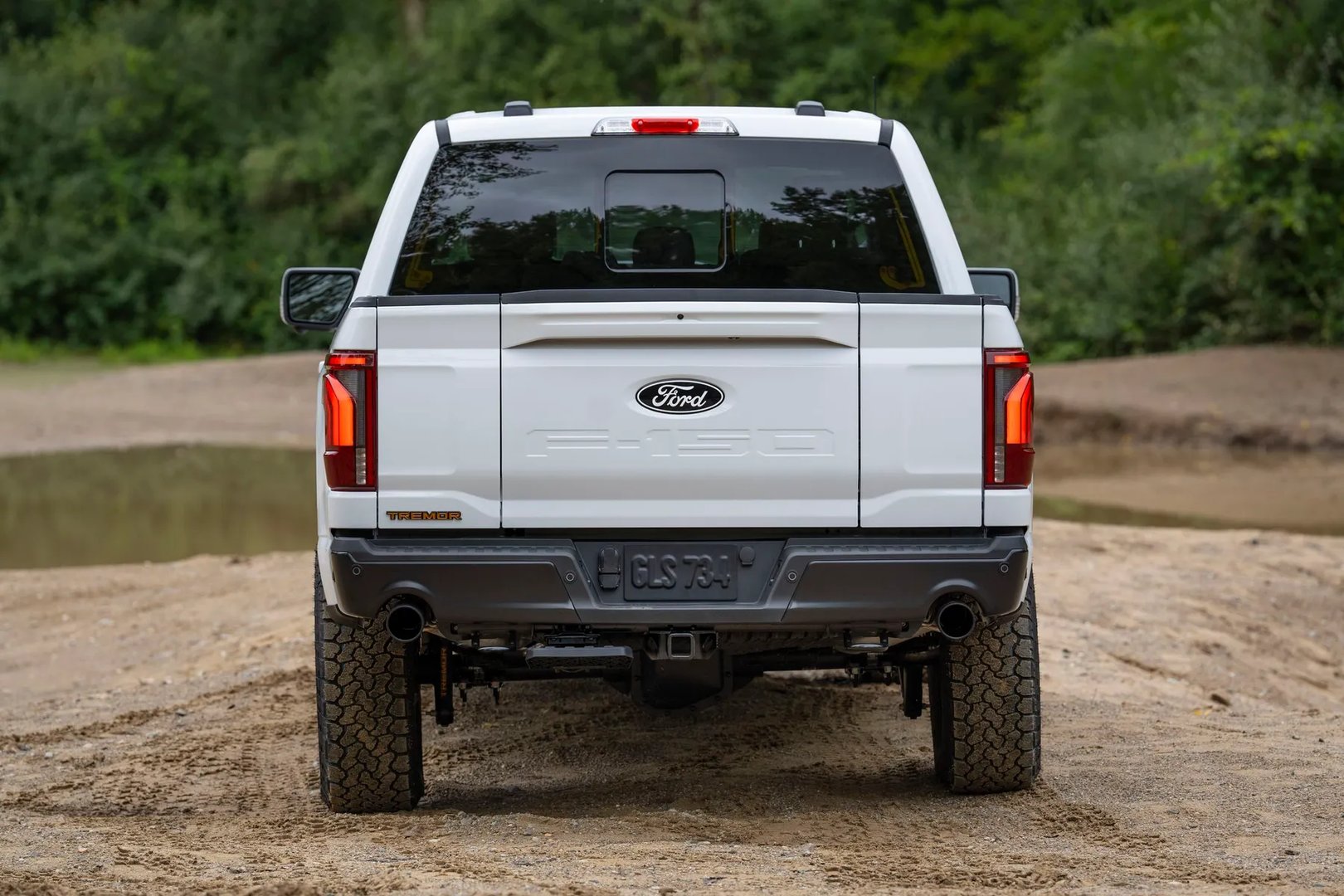 Ford_F-150_14_generation_restyling_1__Pickup_double-cab__3.jpg