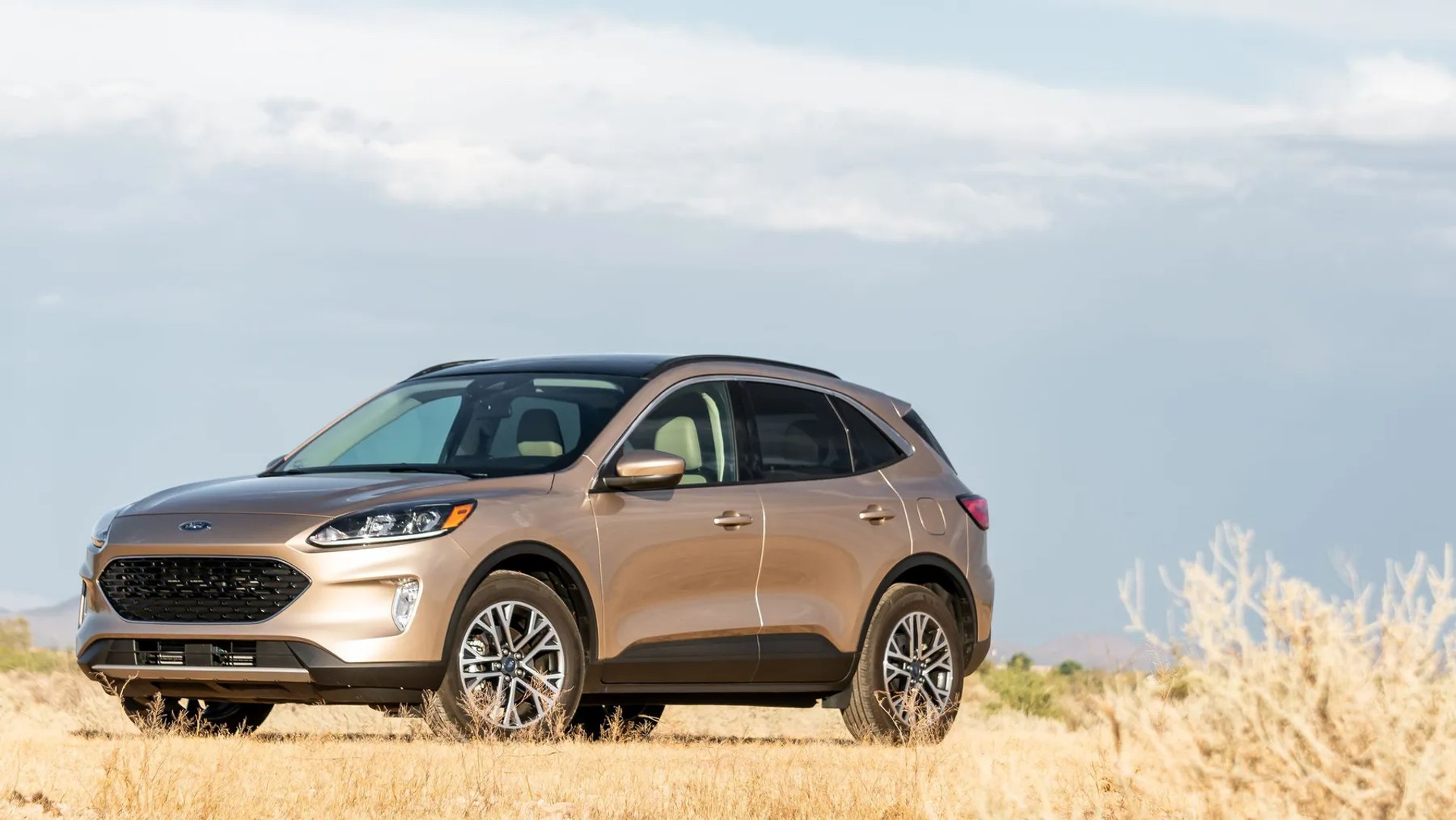 Ford_Escape_4_generation__SUV_5-doors__6.jpg