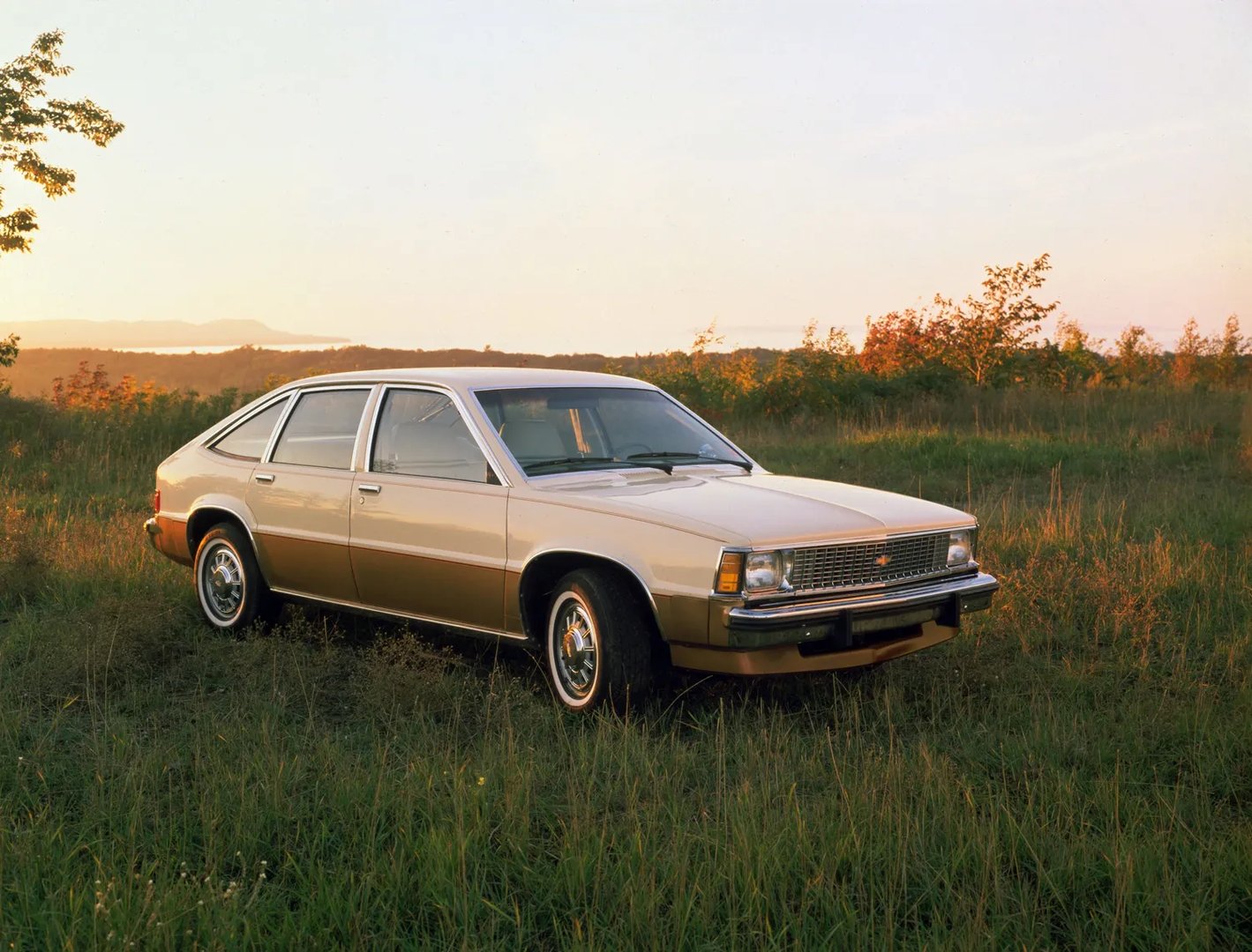 Chevrolet_Citation_1_generation__Hatchback_5-door__4.jpg