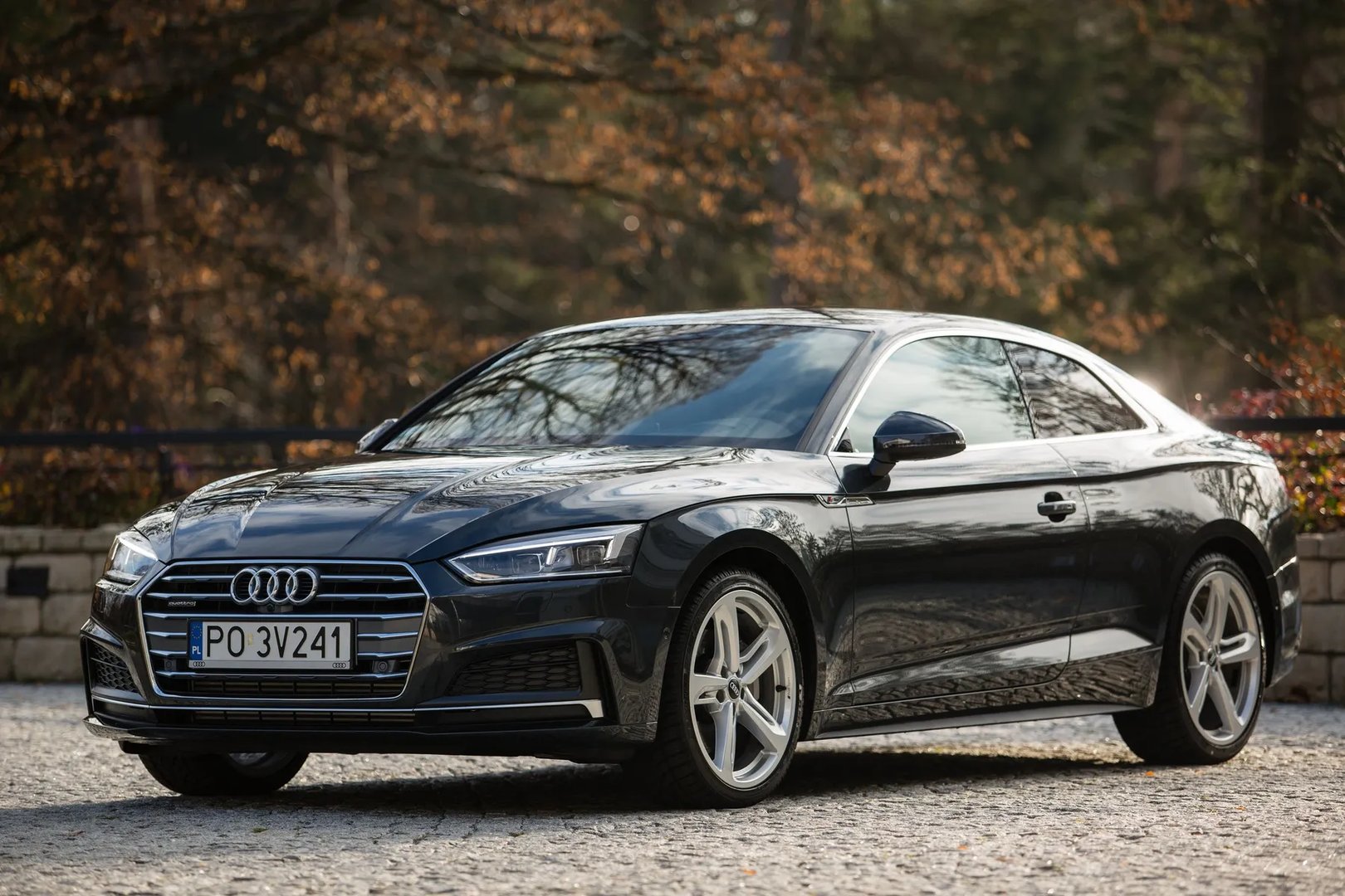 Audi_A5_2_generation__Coupe__6.jpg