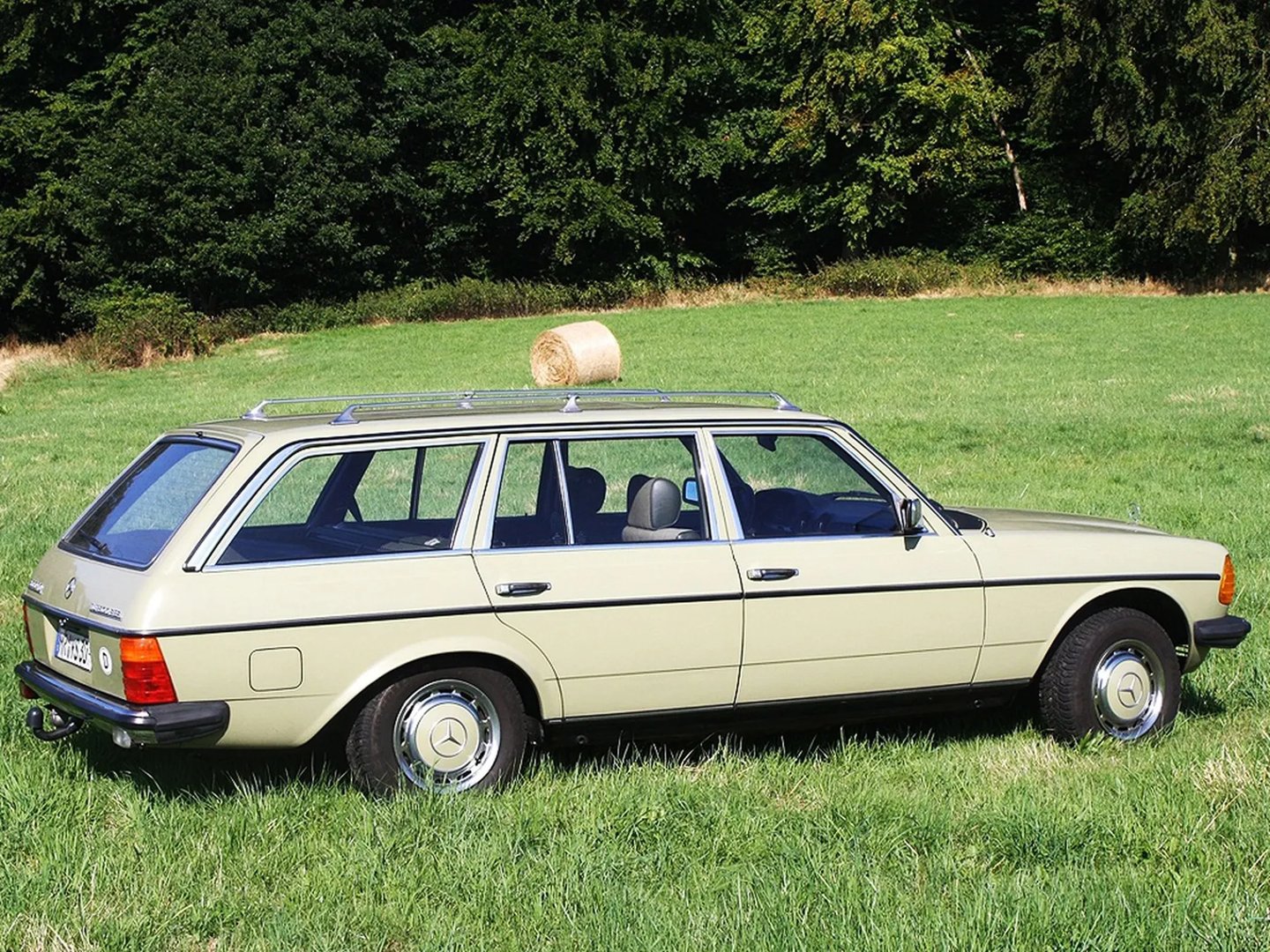 Mercedes_W123_1_generation__Estate_5-door__9.jpg