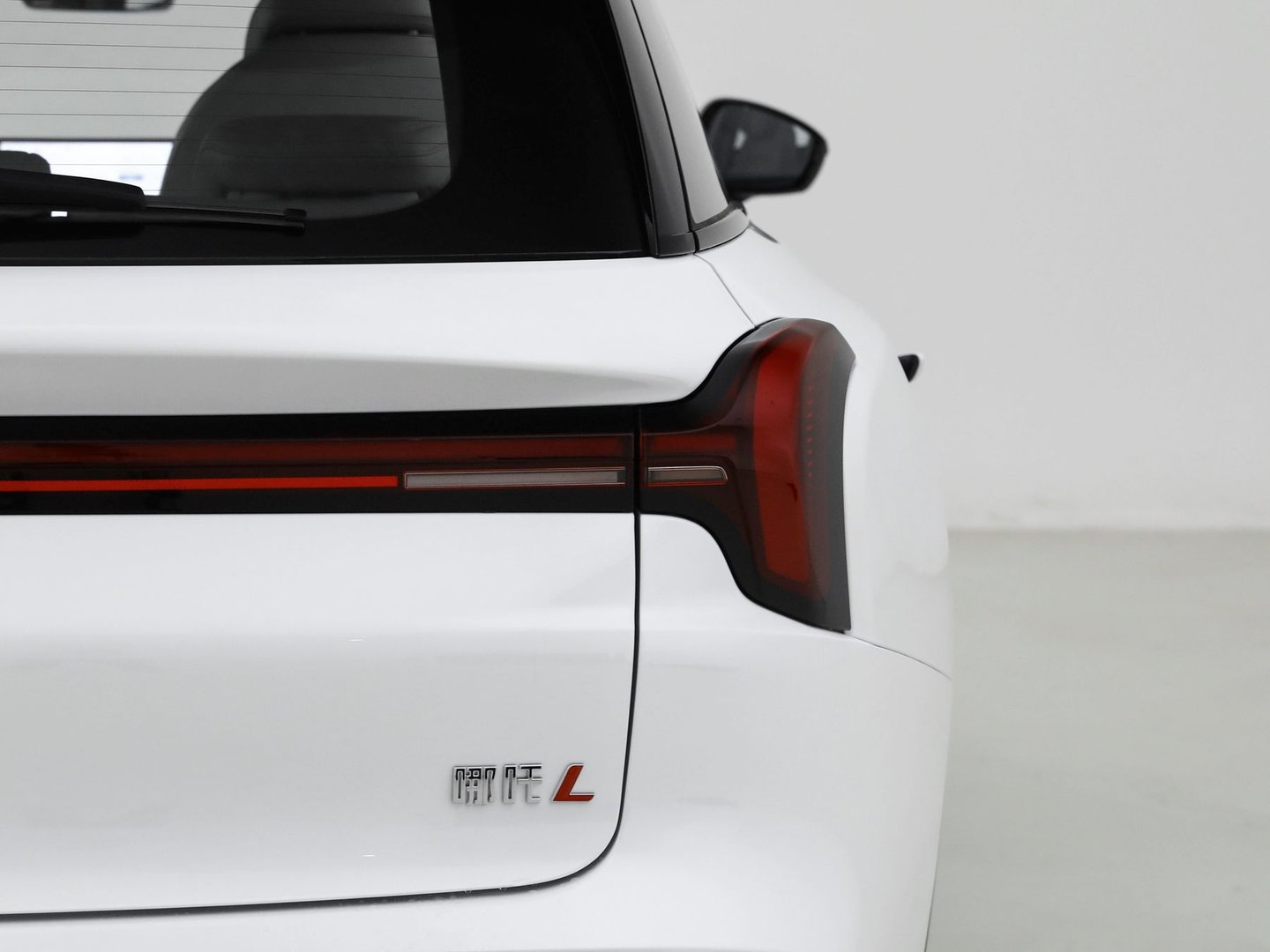 neta_L_1_generation__SUV_5-doors__13.jpg