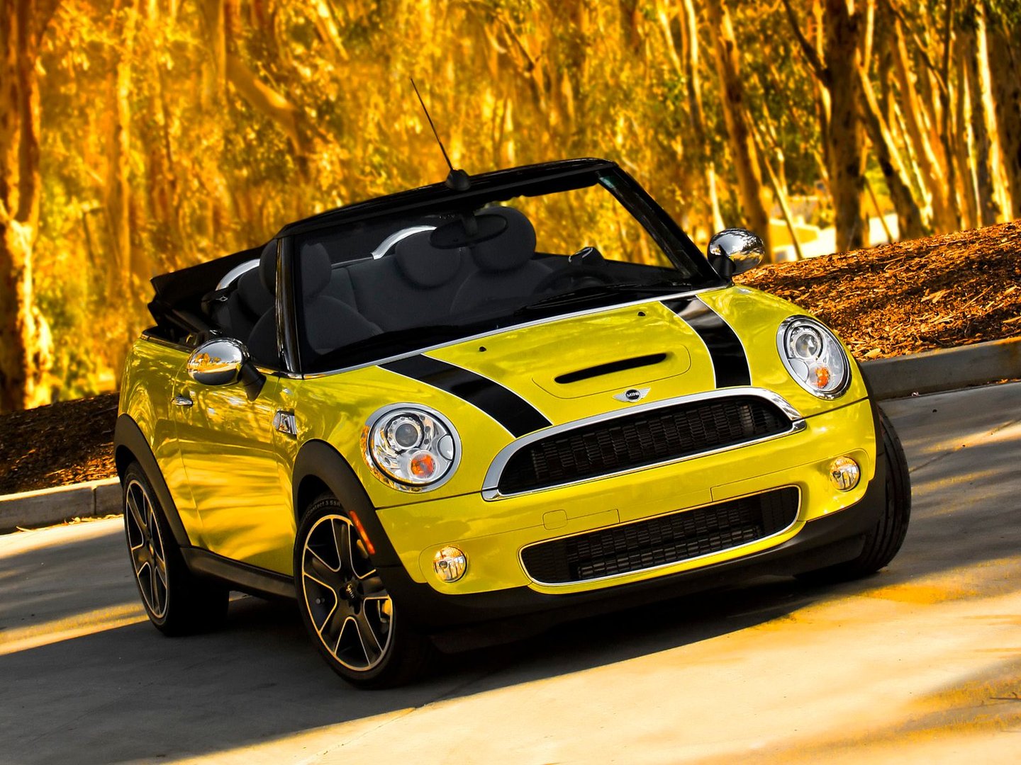 mini_Cabrio_2_generation__Cabrio__1.jpg
