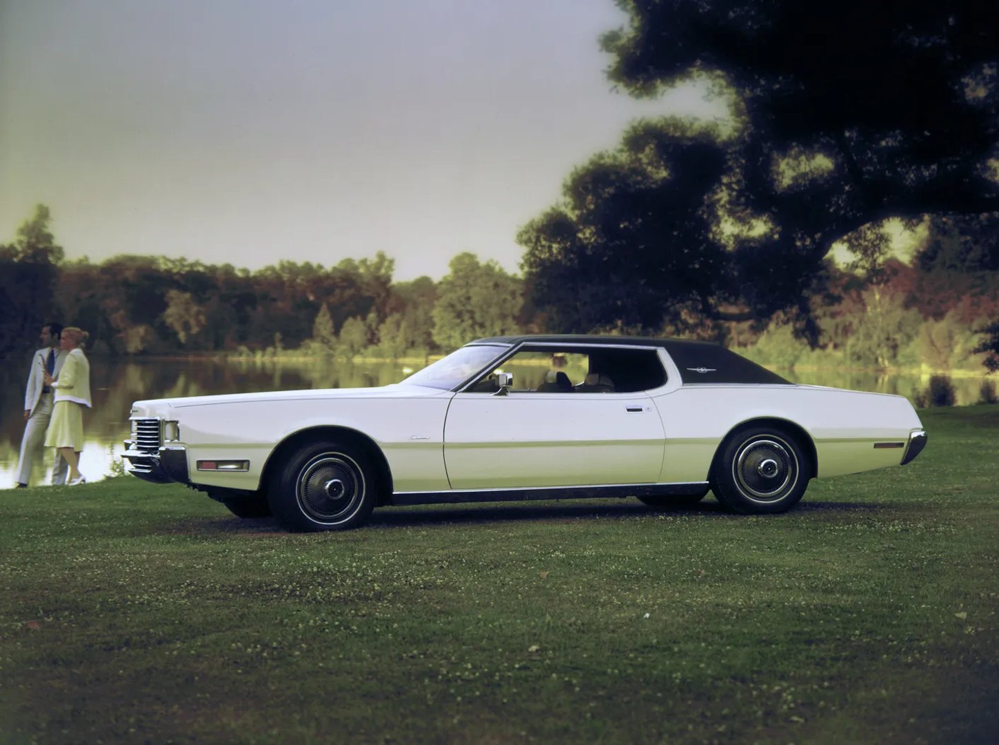 Ford_Thunderbird_6_generation__Coupe_Hardtop__6.jpg