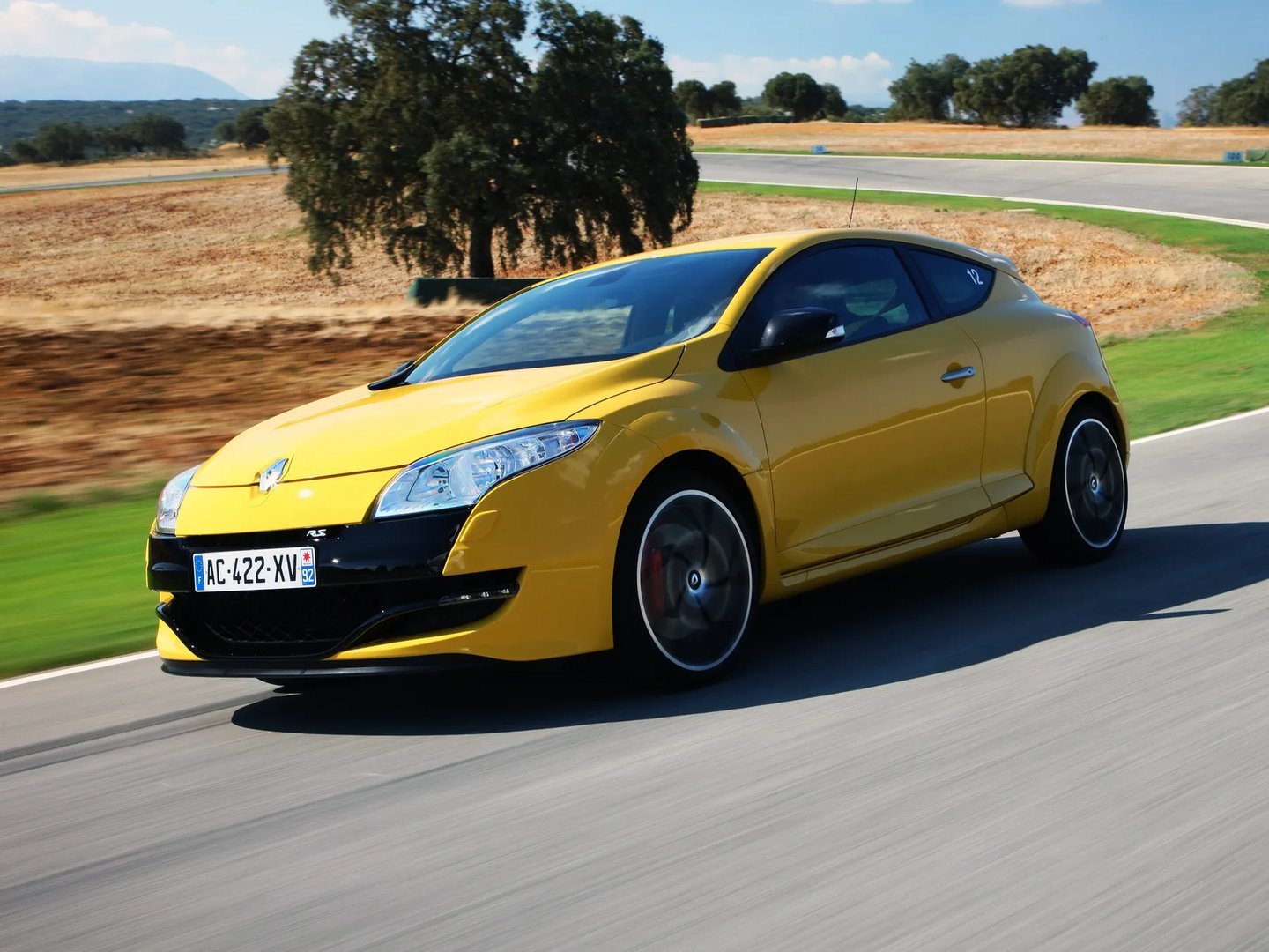 Renault_Megane_RS_3_generation__Hatchback_3-door__8.jpg