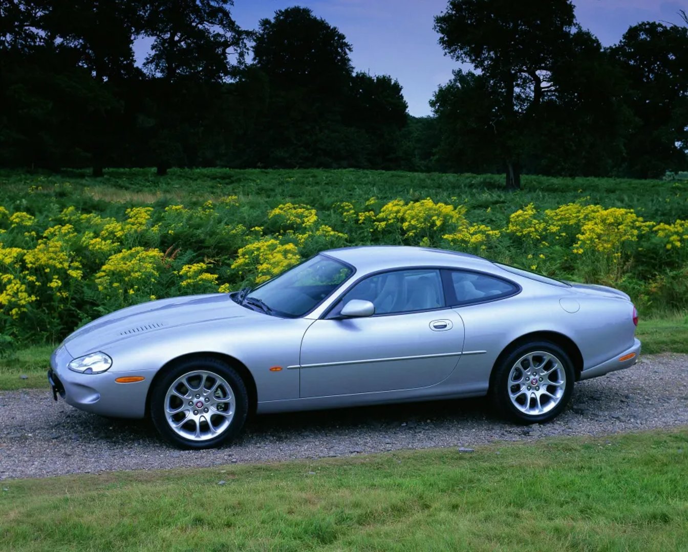 Jaguar_XKR_1_generation__Coupe__4.jpg