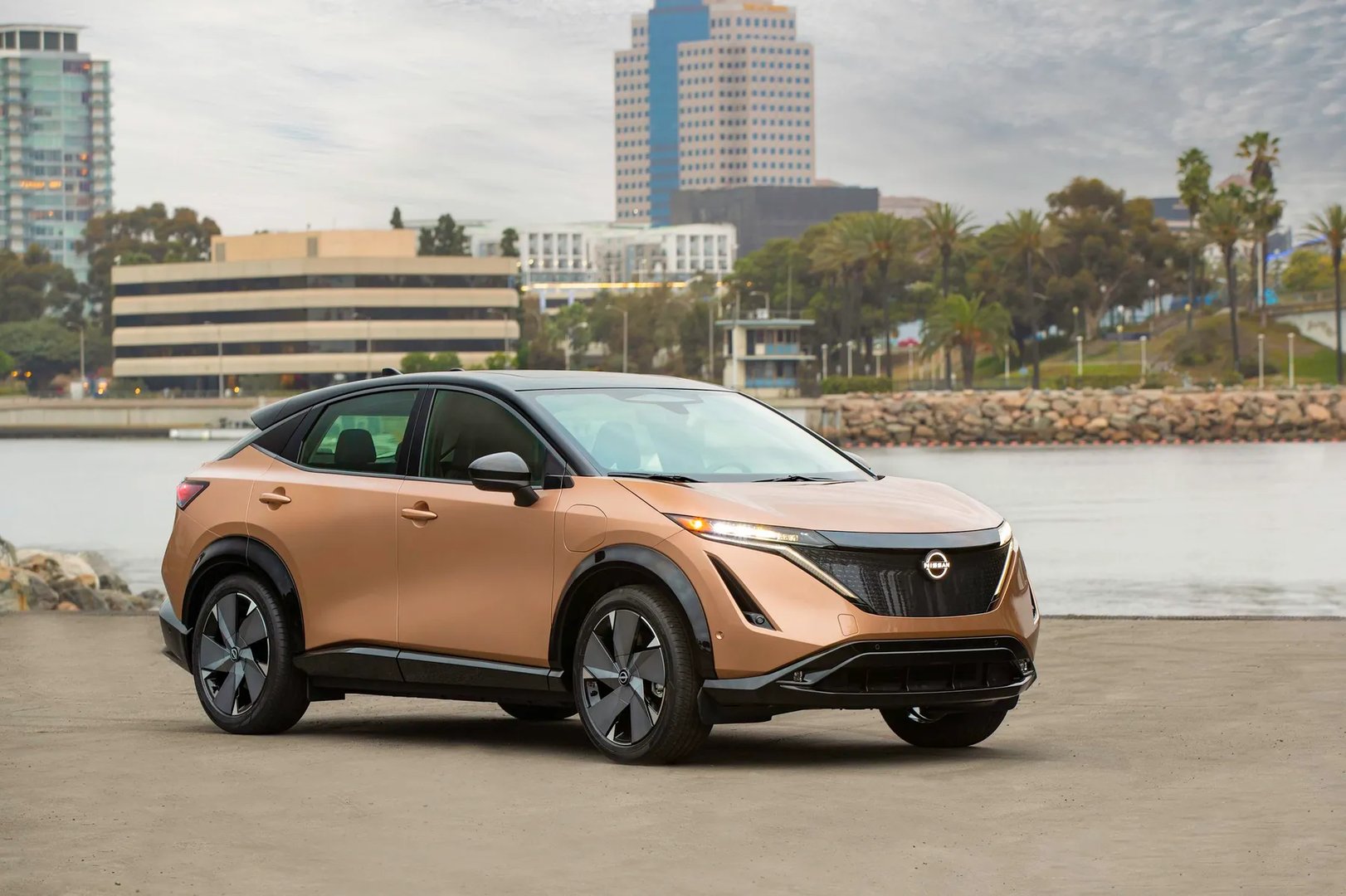 Nissan_Ariya_1_generation__SUV_5-doors__1.jpg