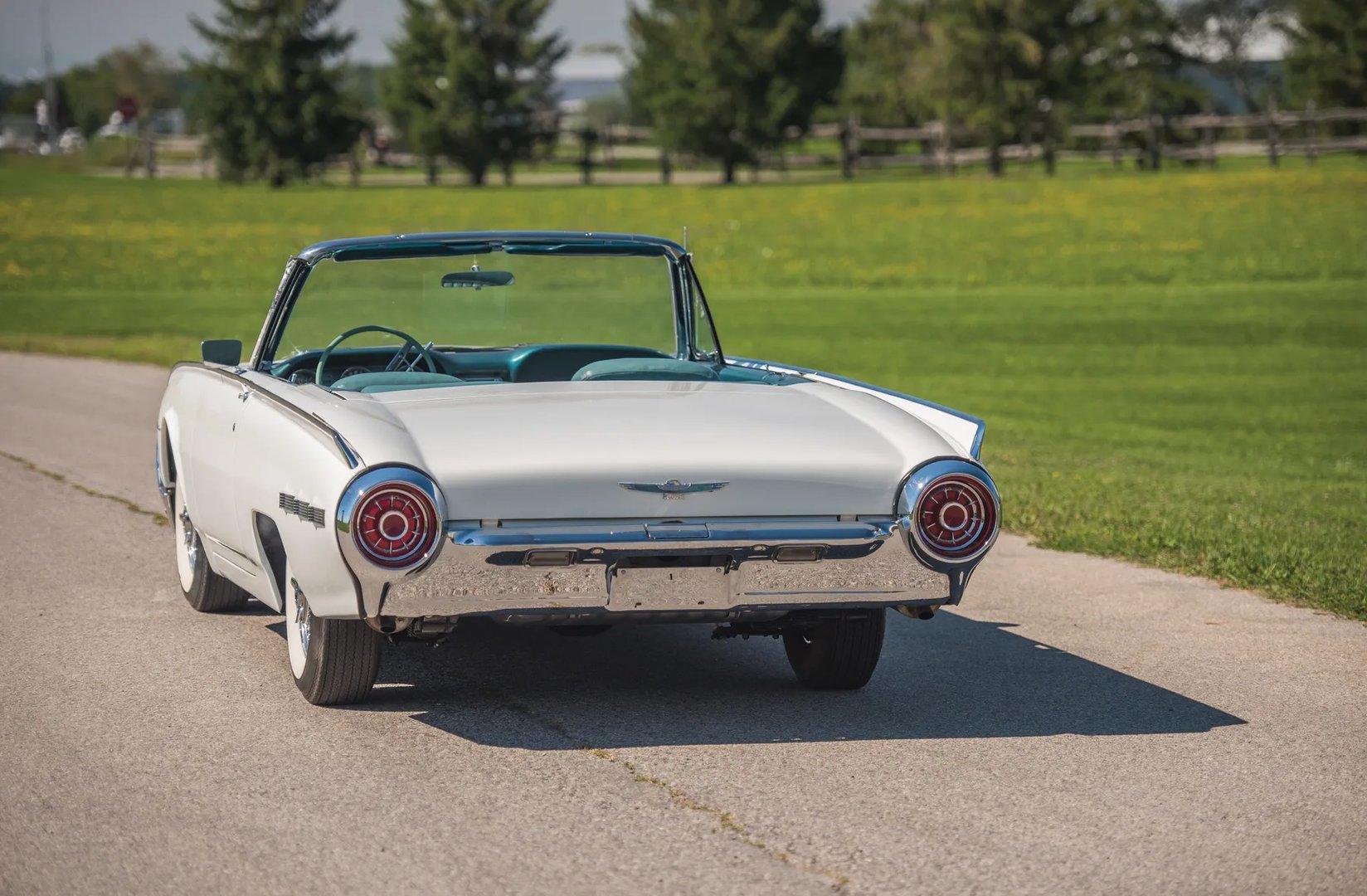 Ford_Thunderbird_3_generation__Cabrio__2.jpg