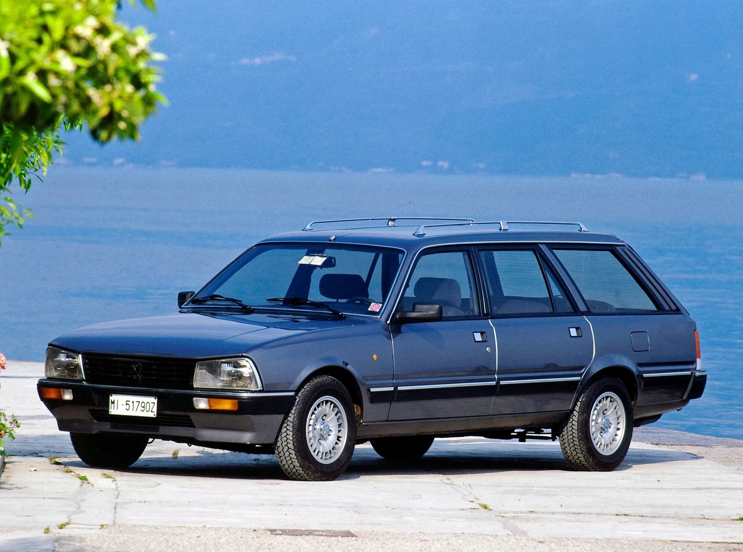 Peugeot_505_1_generation__Estate_5-door__5.jpg
