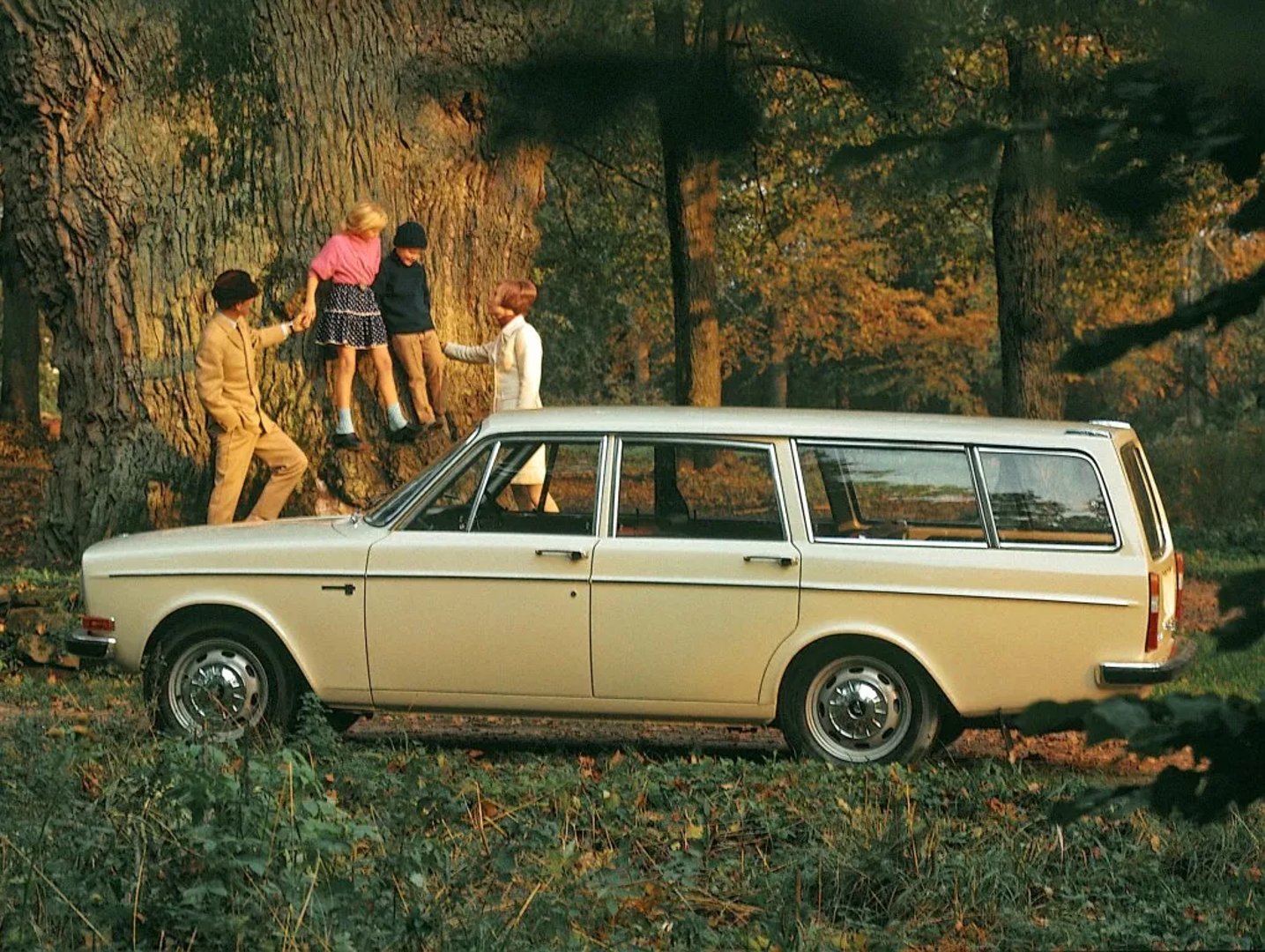 Volvo_140_Series_1_generation__Estate_5-door__6.jpg