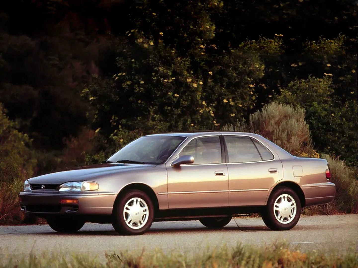 Toyota_Camry_4_generation__Sedan__4.jpg