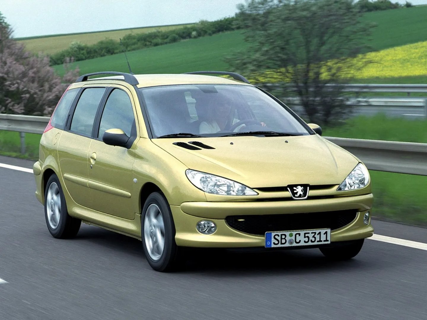 Peugeot_206_1_generation__Estate_5-door__6.jpg